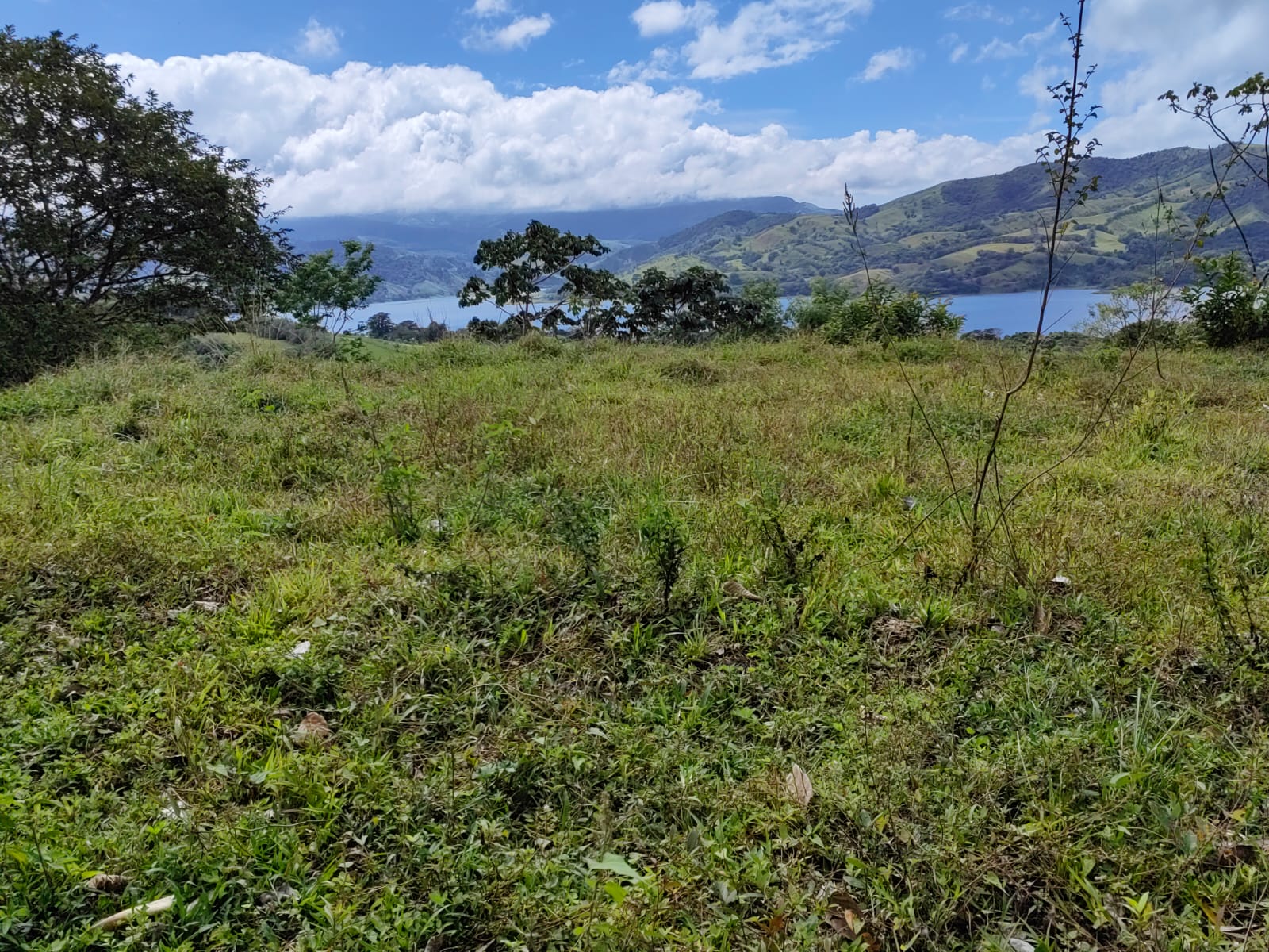 33,691 m² property with Amazing Views and Private Waterfall in La Union  photo 16