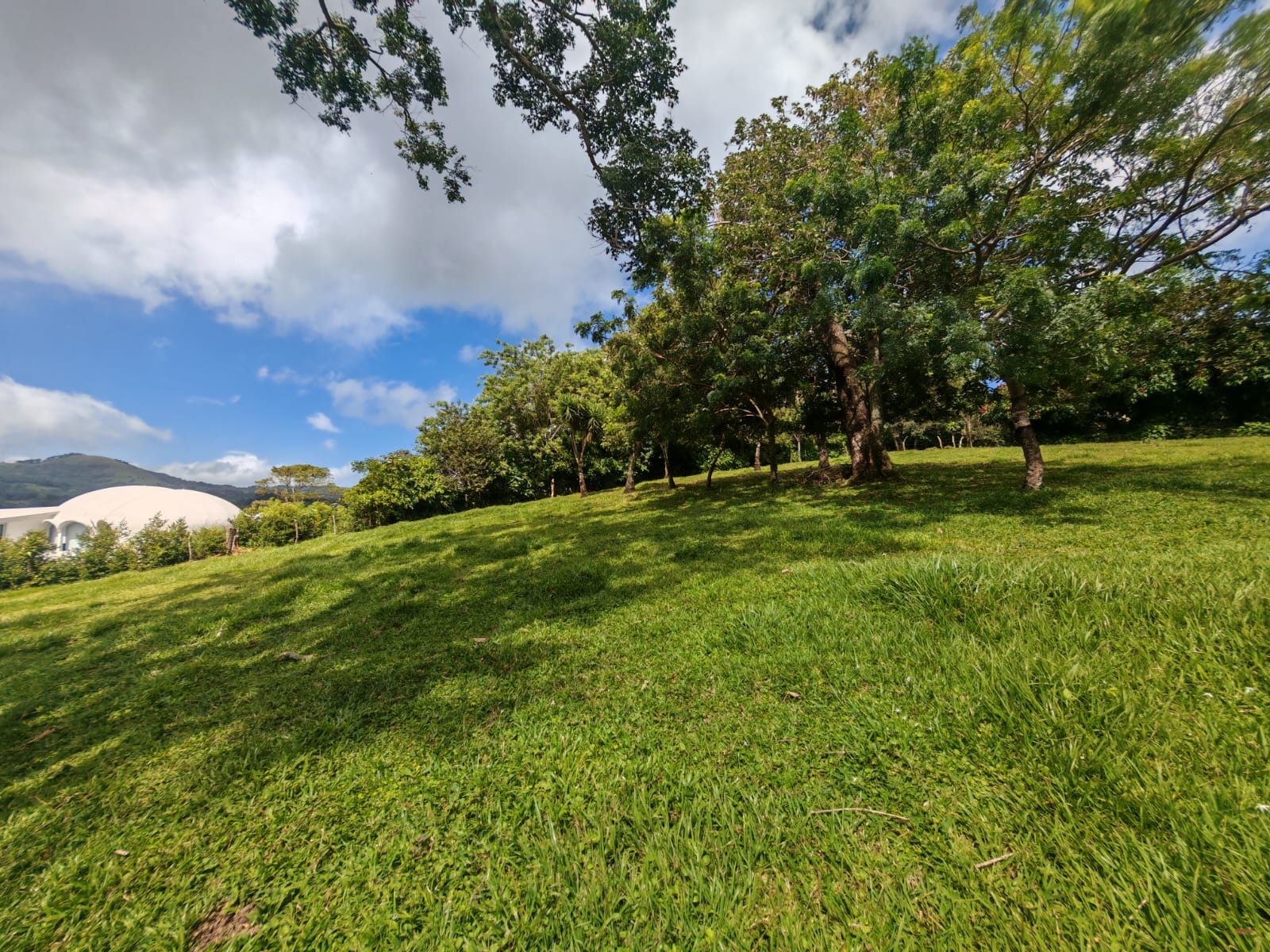 15,750 m² Lakefront Lot with Volcano Views, Fruit Trees & Direct Lake Access  photo 7