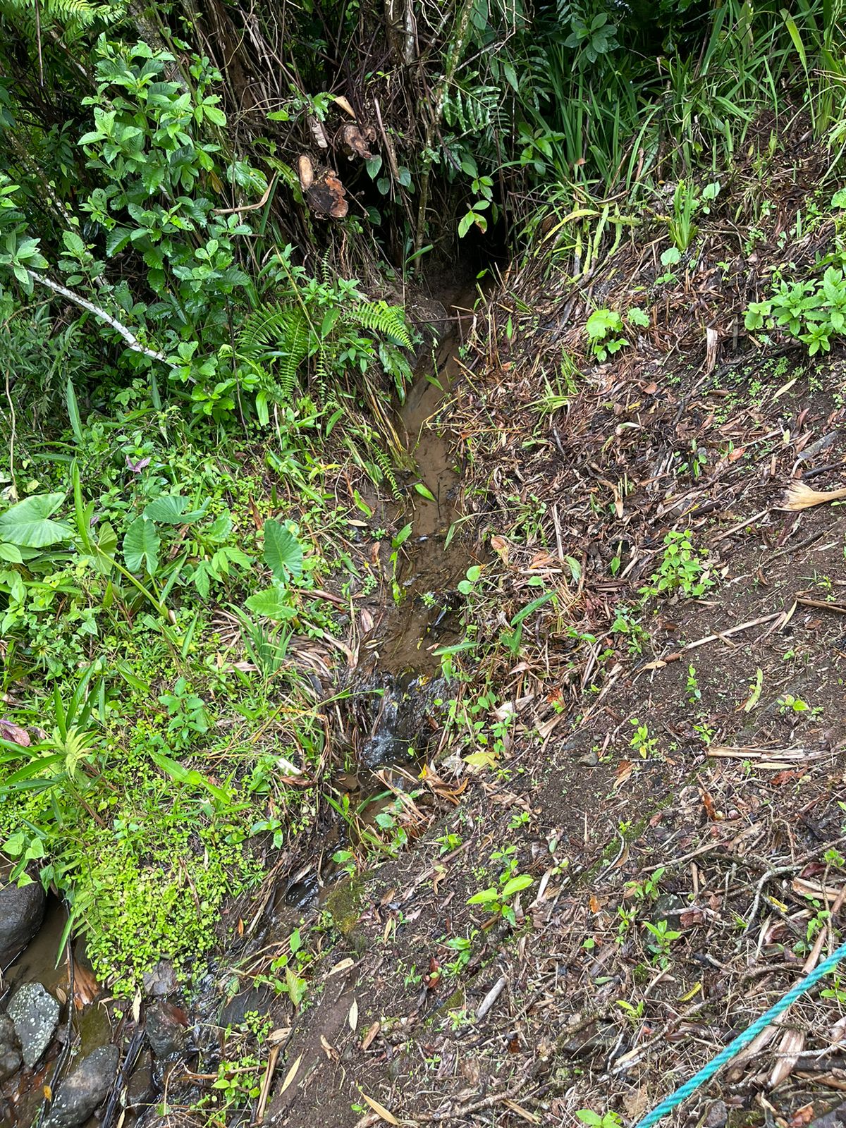 Charming 132 m² Home on 5,000 m² Lot w/ Creek in a Gated Community photo 29