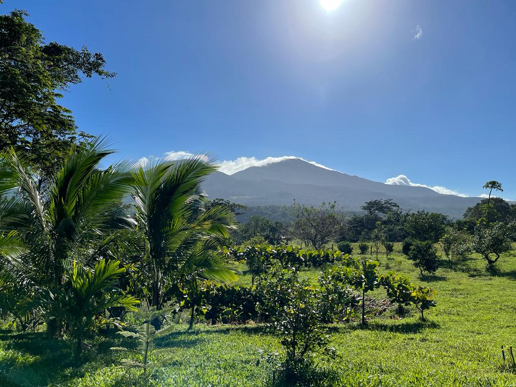 Lovely Studio Cabin on a 5,447 m2 Volcano View lot in Rio Naranjo photo 25