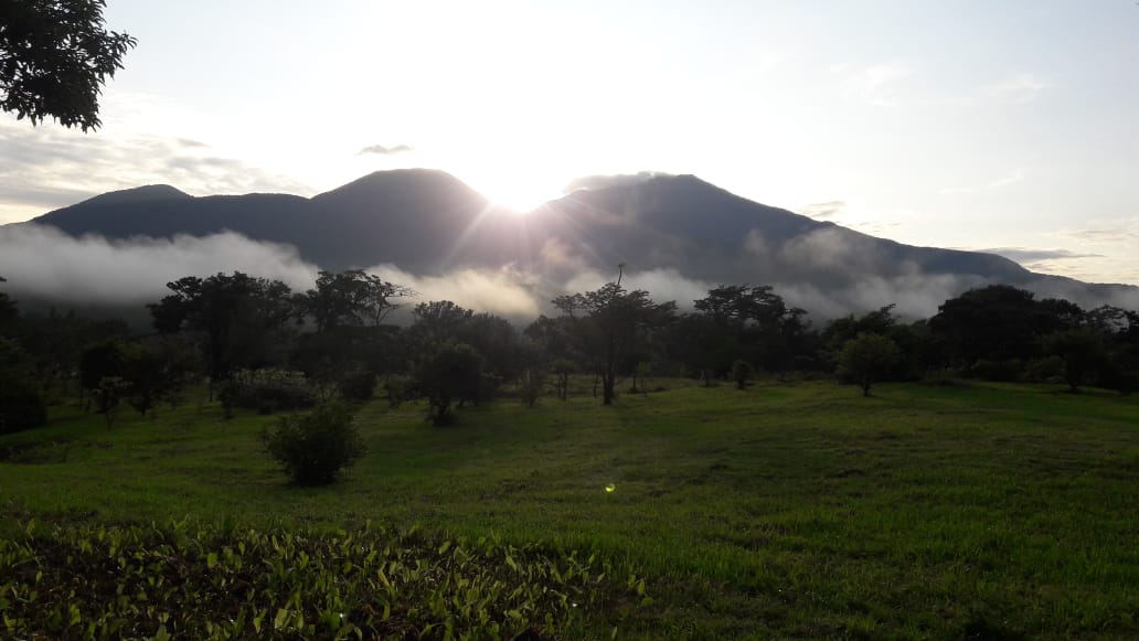 Lovely Studio Cabin on a 5,447 m2 Volcano View lot in Rio Naranjo photo 26