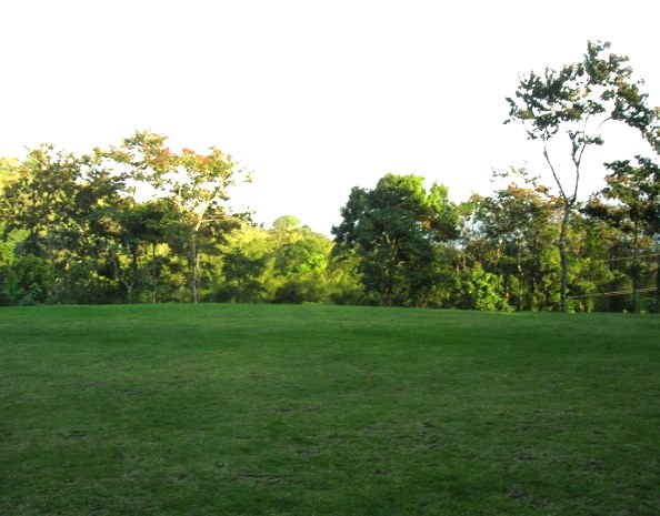 Prime Acreage directly on the Lake and Main Road In Nuevo Arenal photo 13