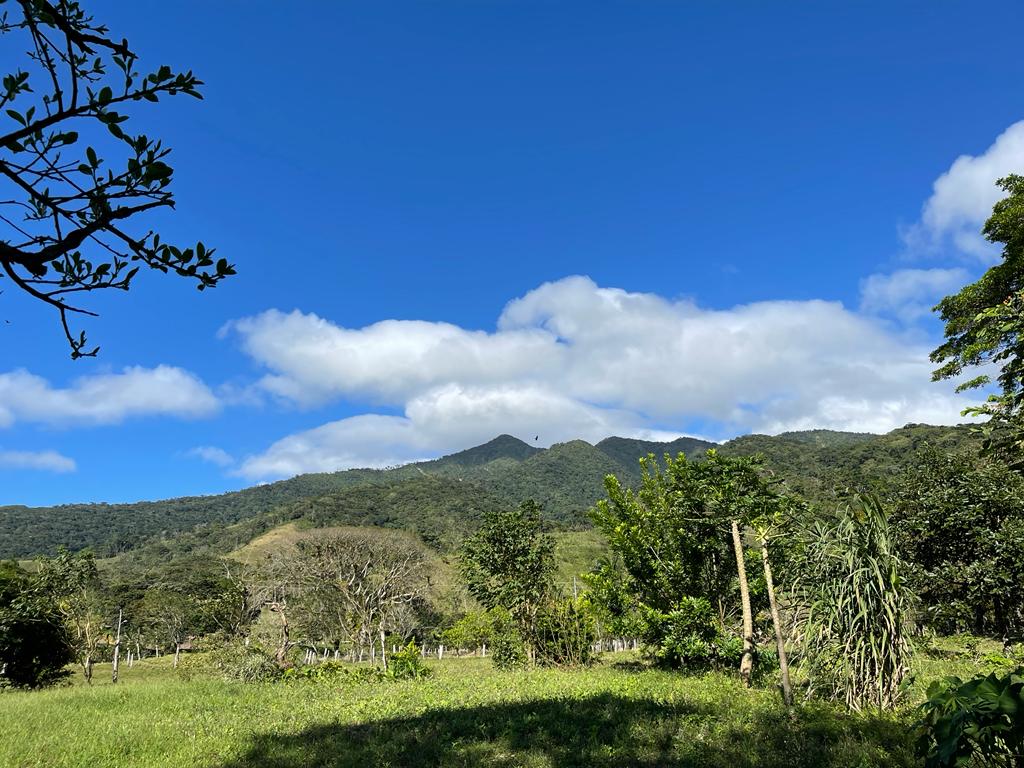 Lovely Studio Cabin on a 5,447 m2 Volcano View lot in Rio Naranjo photo 24