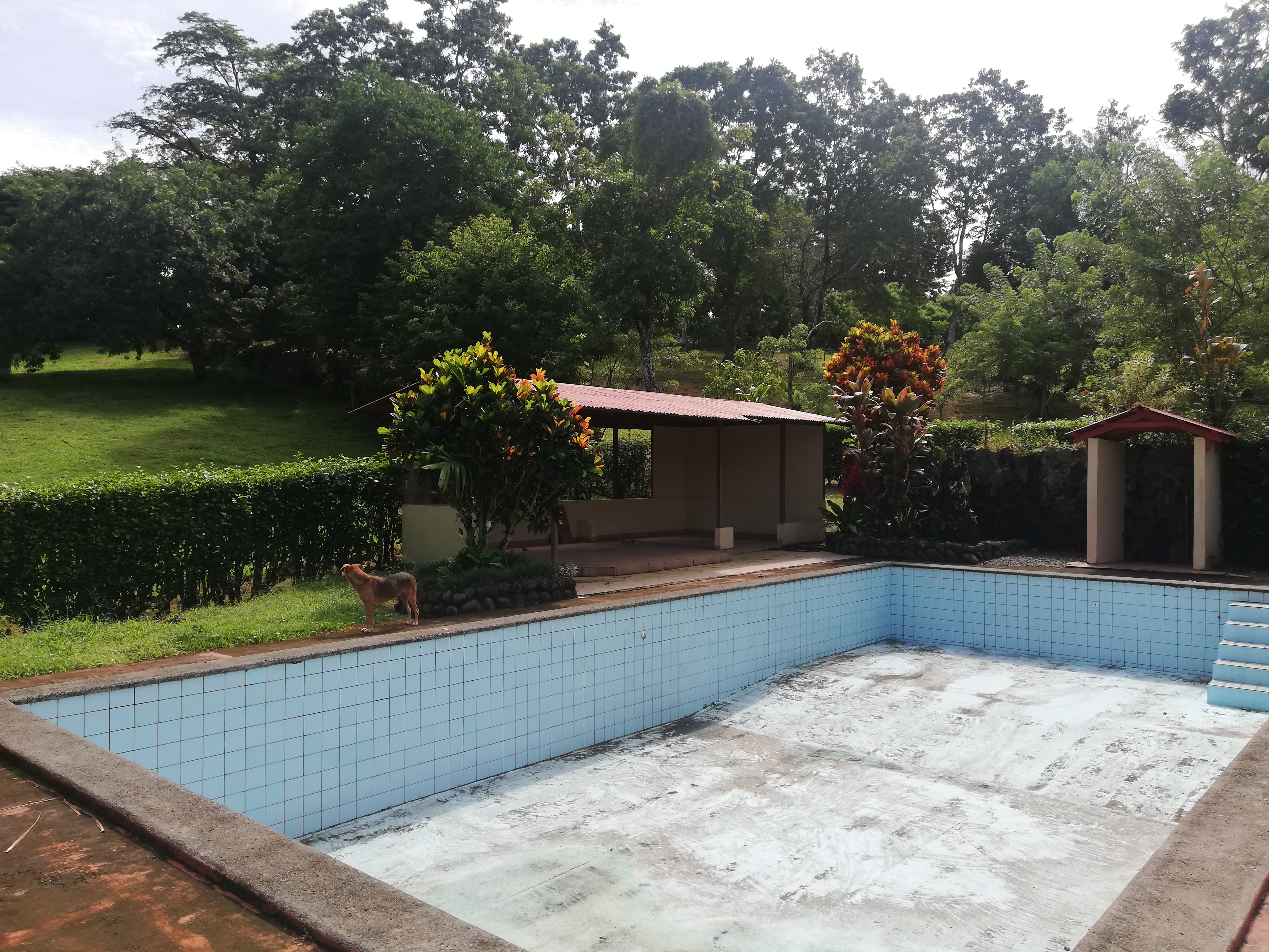 Gorgeous Property with Enormous Income Potential Near Lake Arenal! photo 13