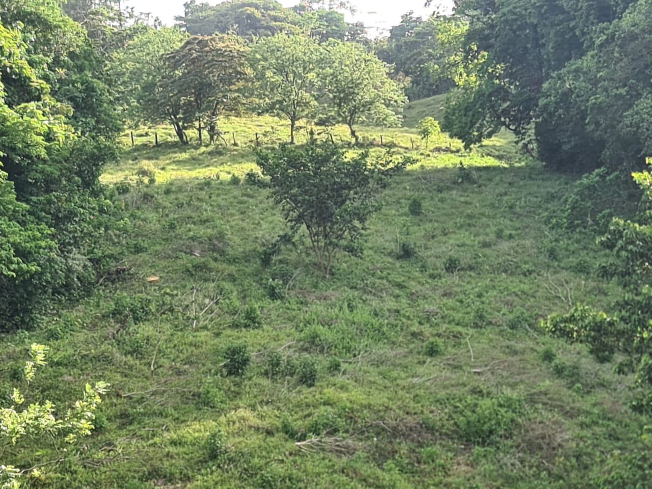 16-Hectare Farm with a Private Well and Views of Lake Arenal in Nuevo Arenal photo 28