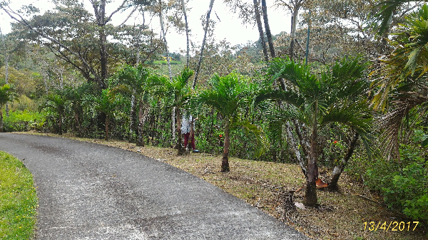 Beautiful 2BD, 2.5 BA Home in Gated Community with Lake and Volcano View  photo 21