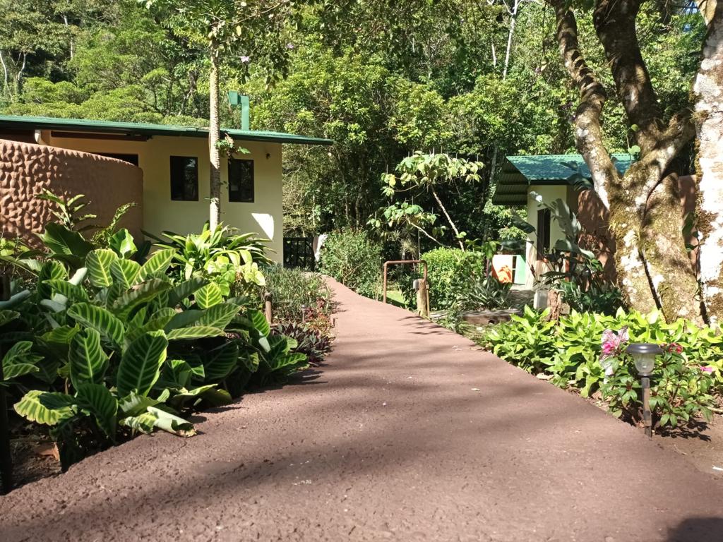 Commercial Space, Cabins, & Retreats: A Nature Haven w/ Riverfront Serenity photo 10