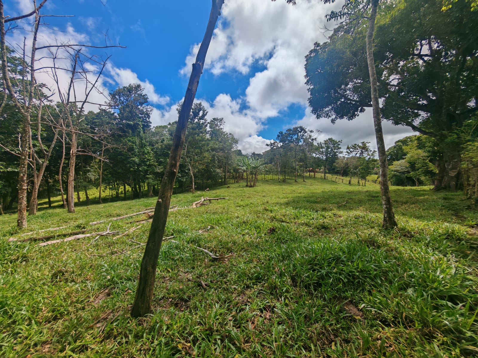 Expansive 30,229 m² (7.46 Acre) Lot w/ House & Scenic Views in Tierras Morenas photo 9