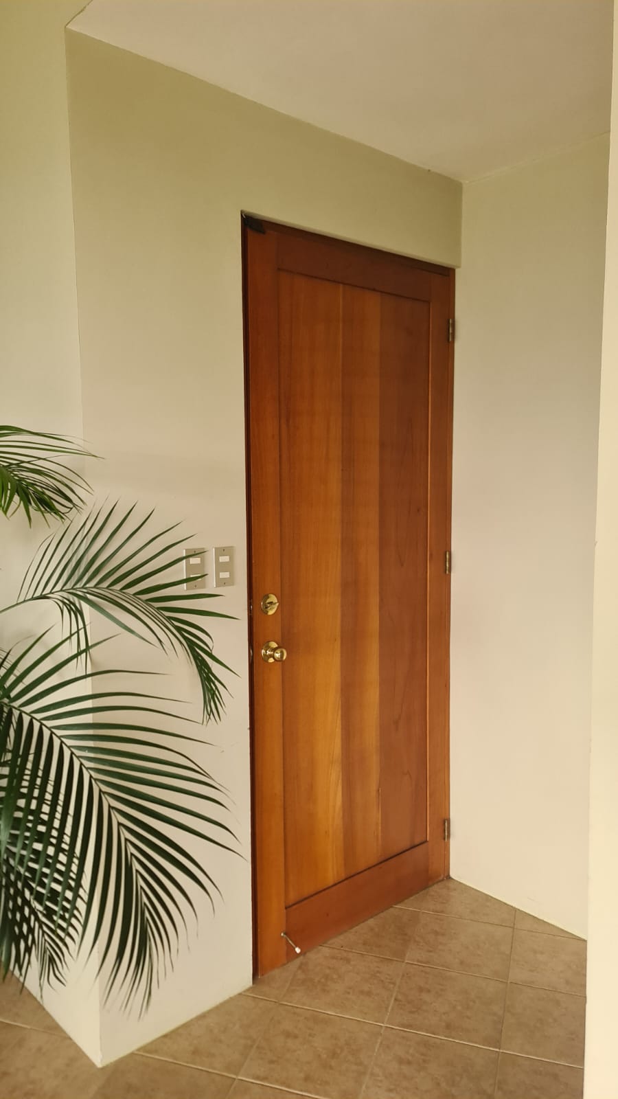 Beautiful 3 Bedroom, 2 Bathroom Furnished Home in El Aguacate photo 12