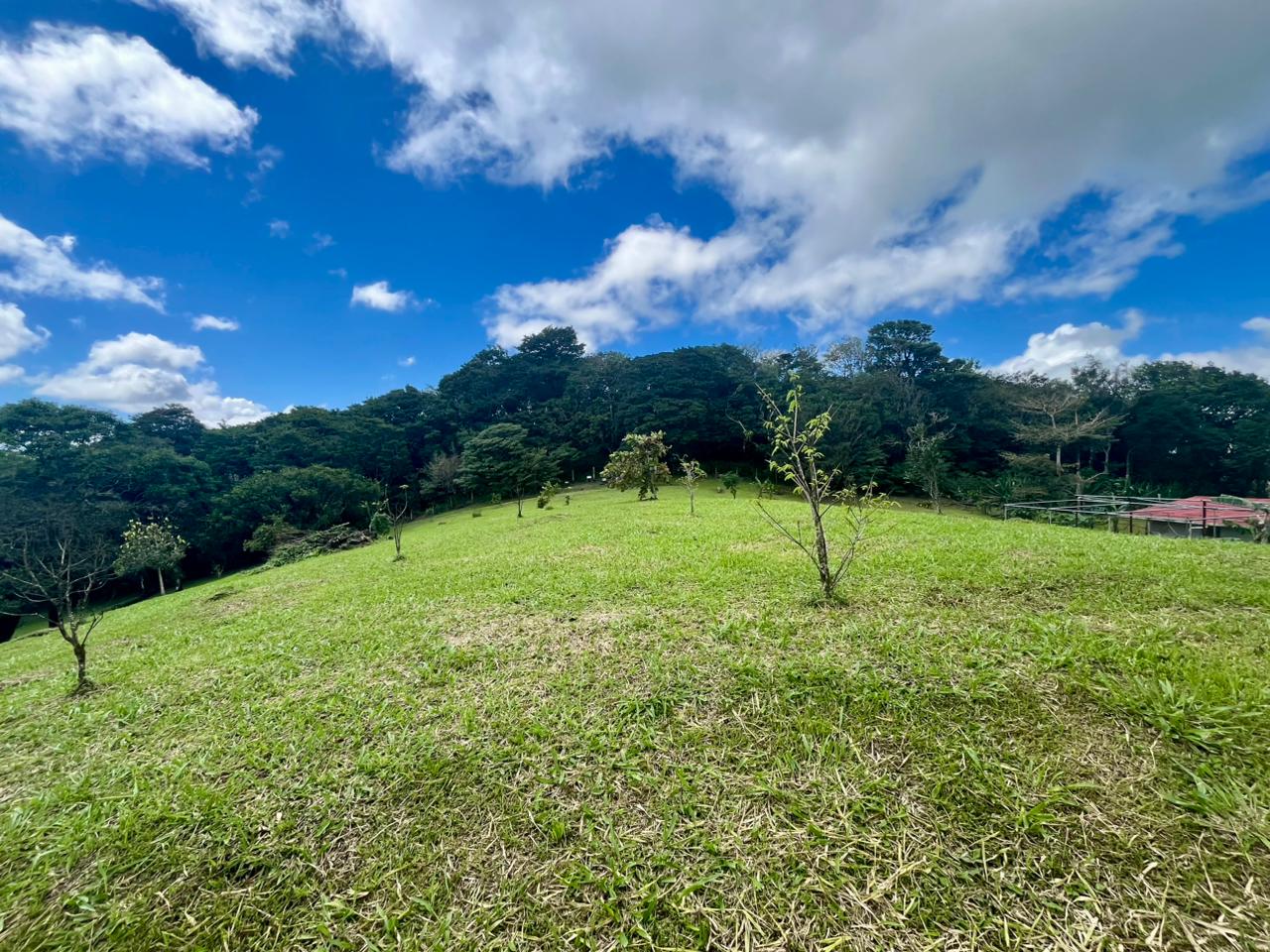 Commercial Property with Expansive Space and Breathtaking Mountain Views  photo 8