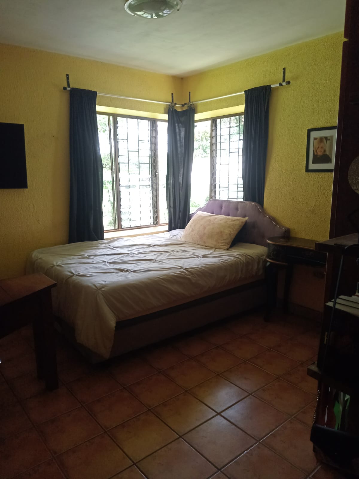 Commercial property: main house + 5 cabins + greenhouse + stable in Cinco Esquinas  photo 21