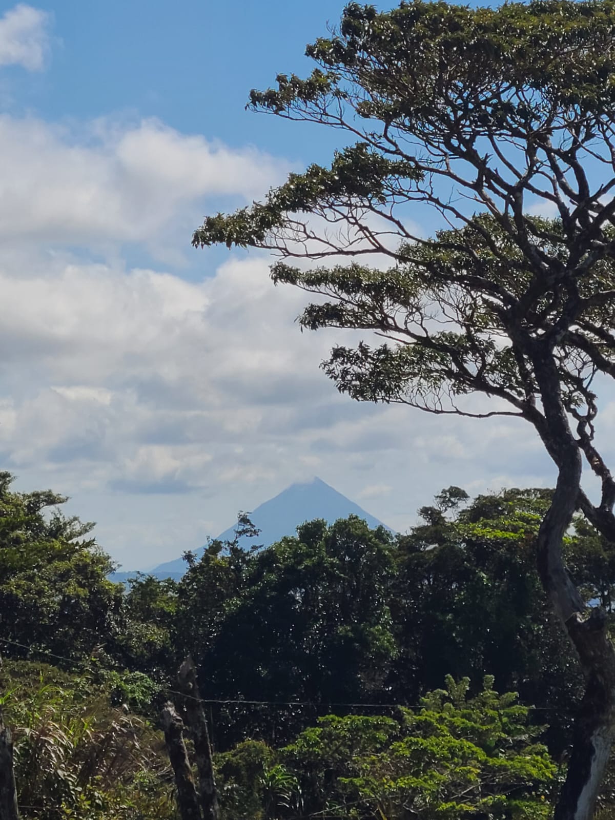 Spectacular 41,700 Sqm Property with Breathtaking Views in Río Piedras photo 15