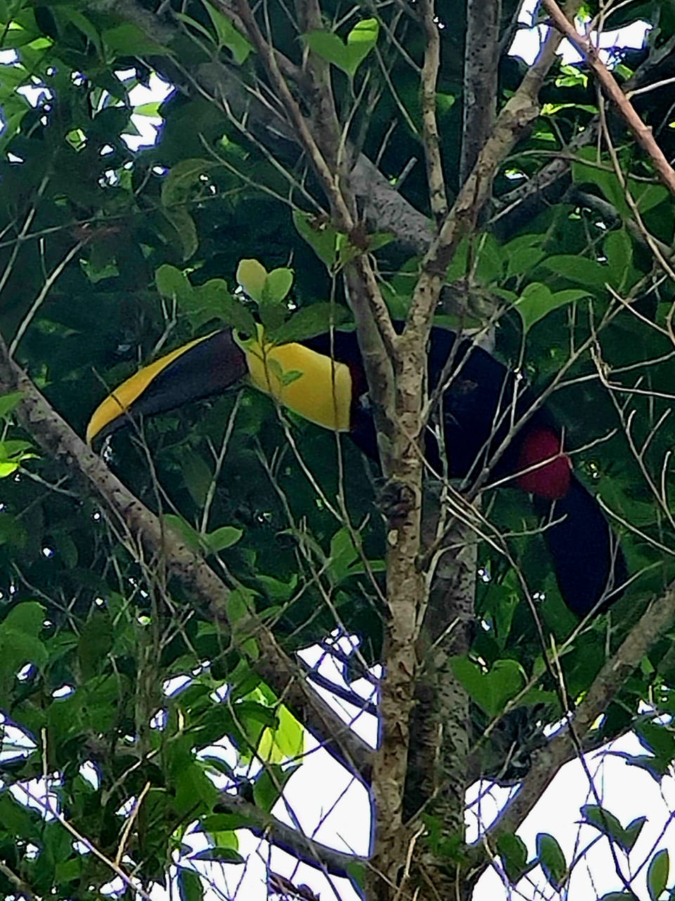 16-Hectare Farm with a Private Well and Views of Lake Arenal in Nuevo Arenal photo 38