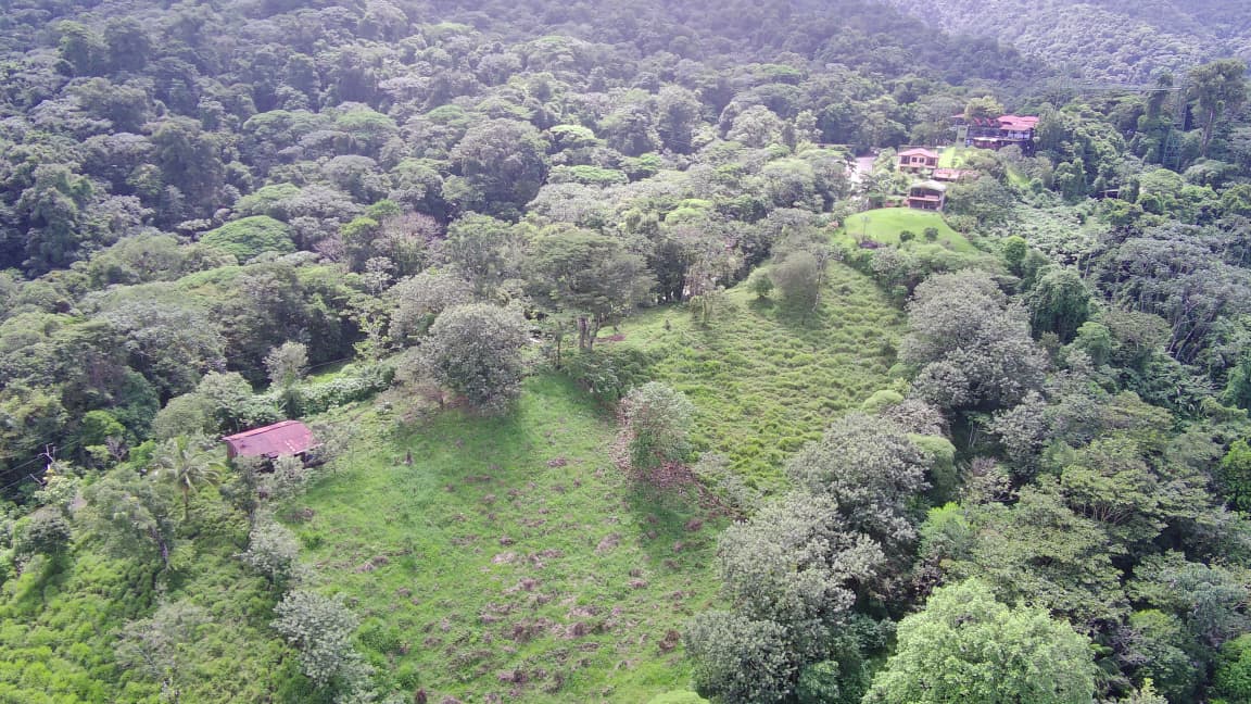 Exceptional Lake and Volcano View Property in El Castillo, San Carlos  photo 16