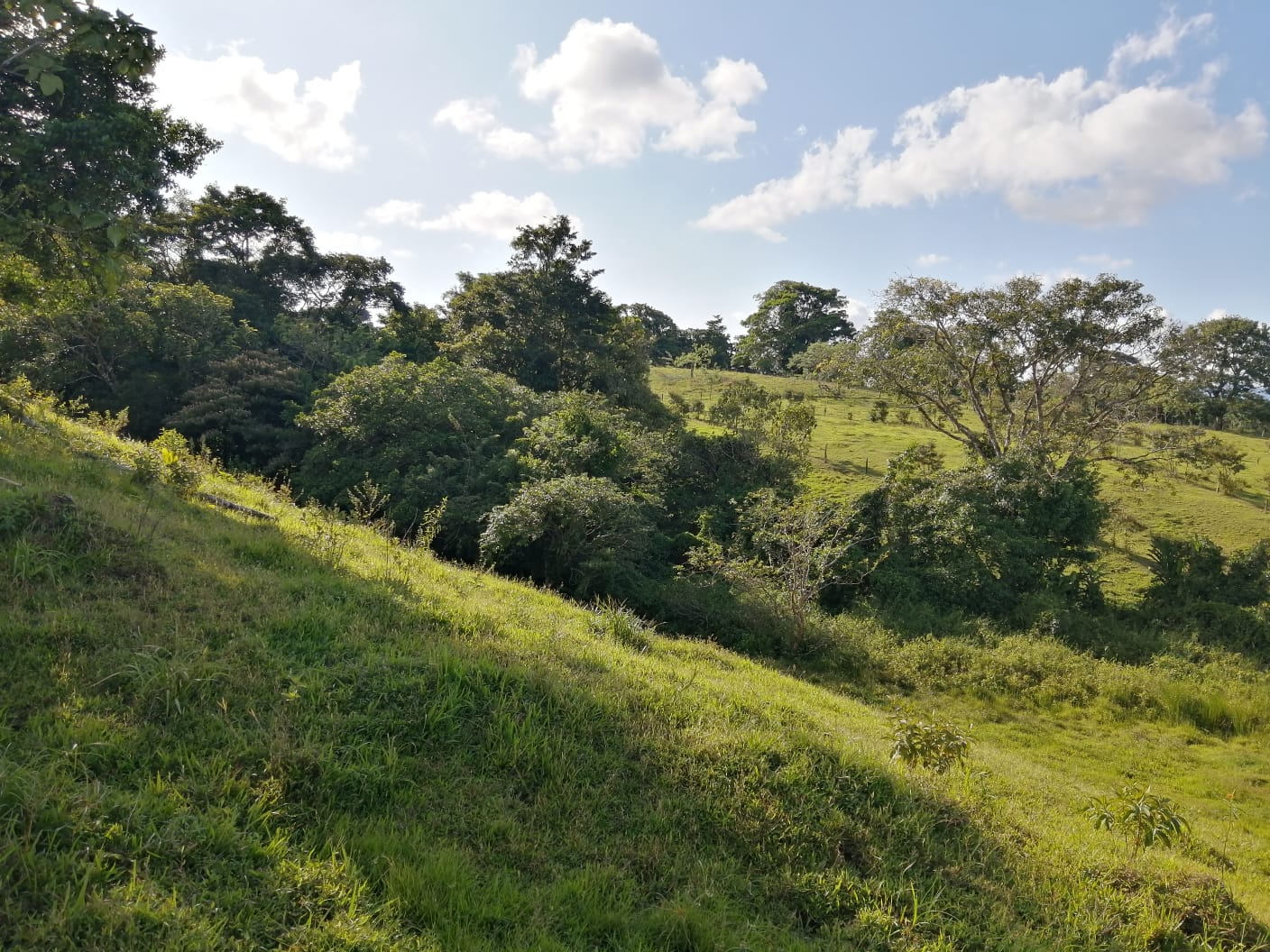 16-Hectare Farm with a Private Well and Views of Lake Arenal in Nuevo Arenal photo 27