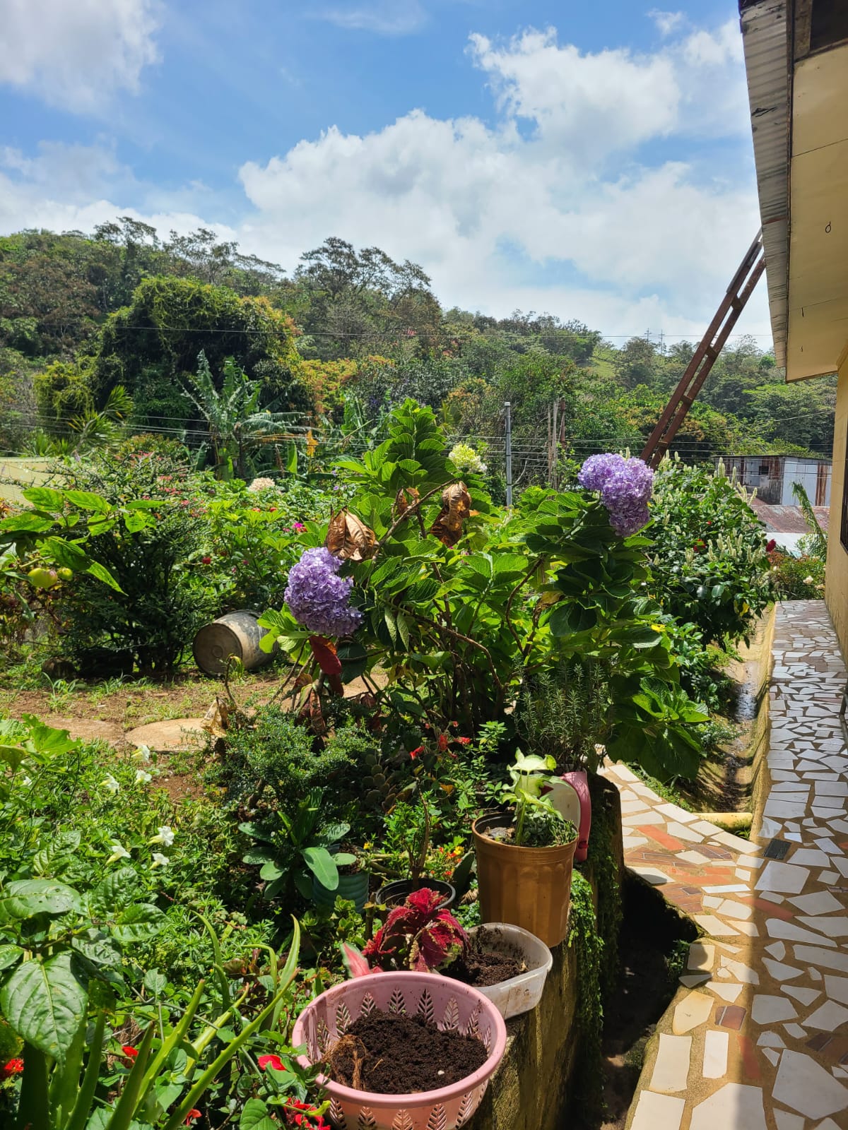 Lovely, 2 Bedroom, 1 Bathroom + Den, Tico Style Home in Rio Piedras  photo 12