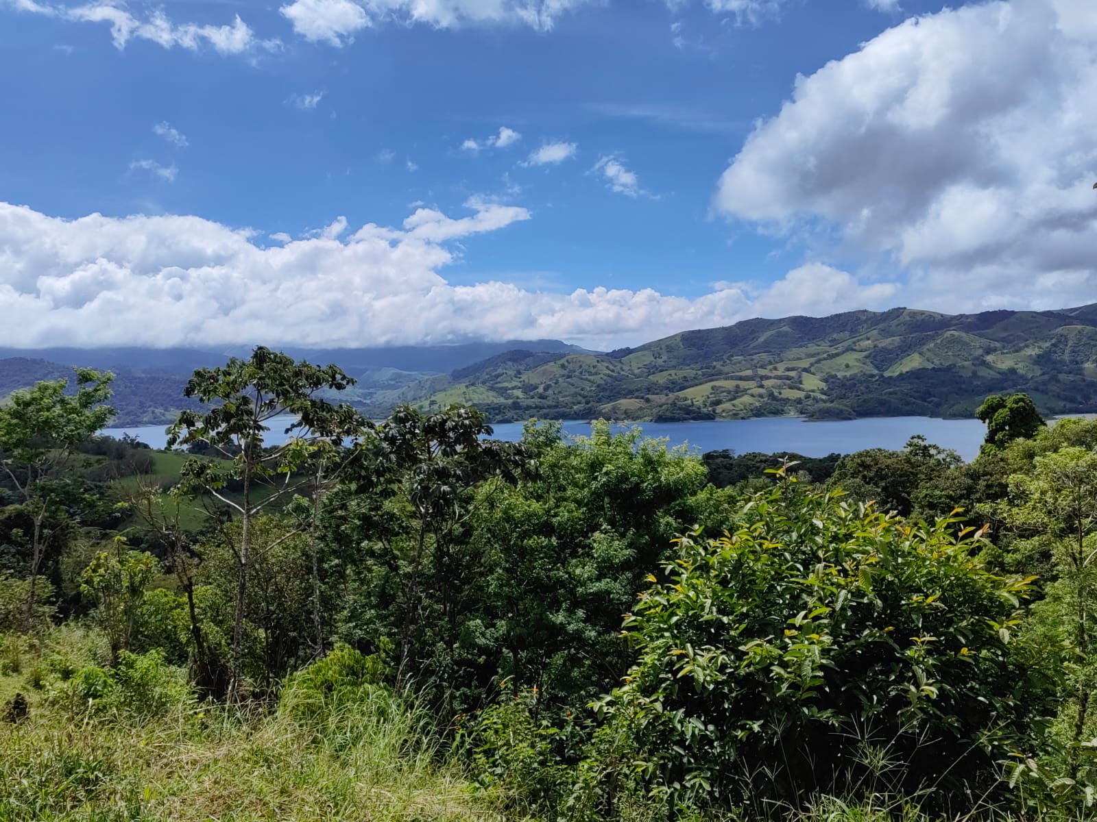 33,691 m² property with Amazing Views and Private Waterfall in La Union  photo 8