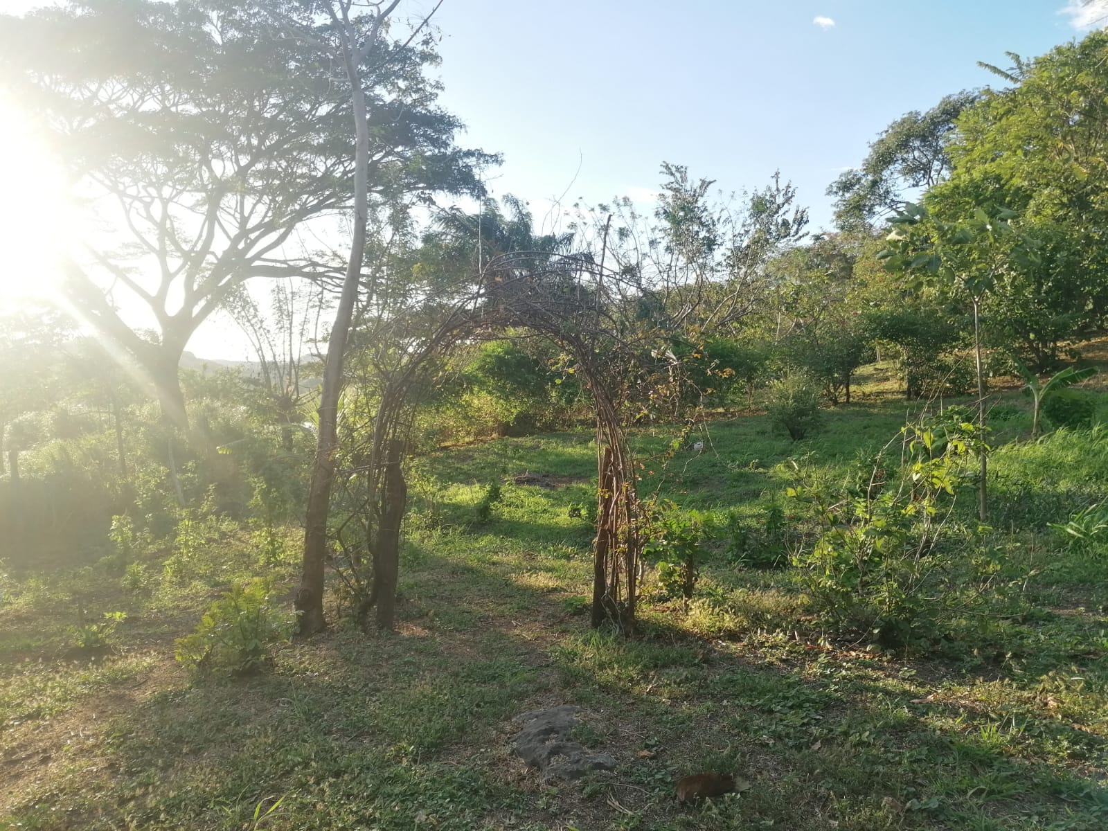 Nature Lover: 5,121 m2 Lot with Mountain Views and Lush Fruit Orchard photo 15