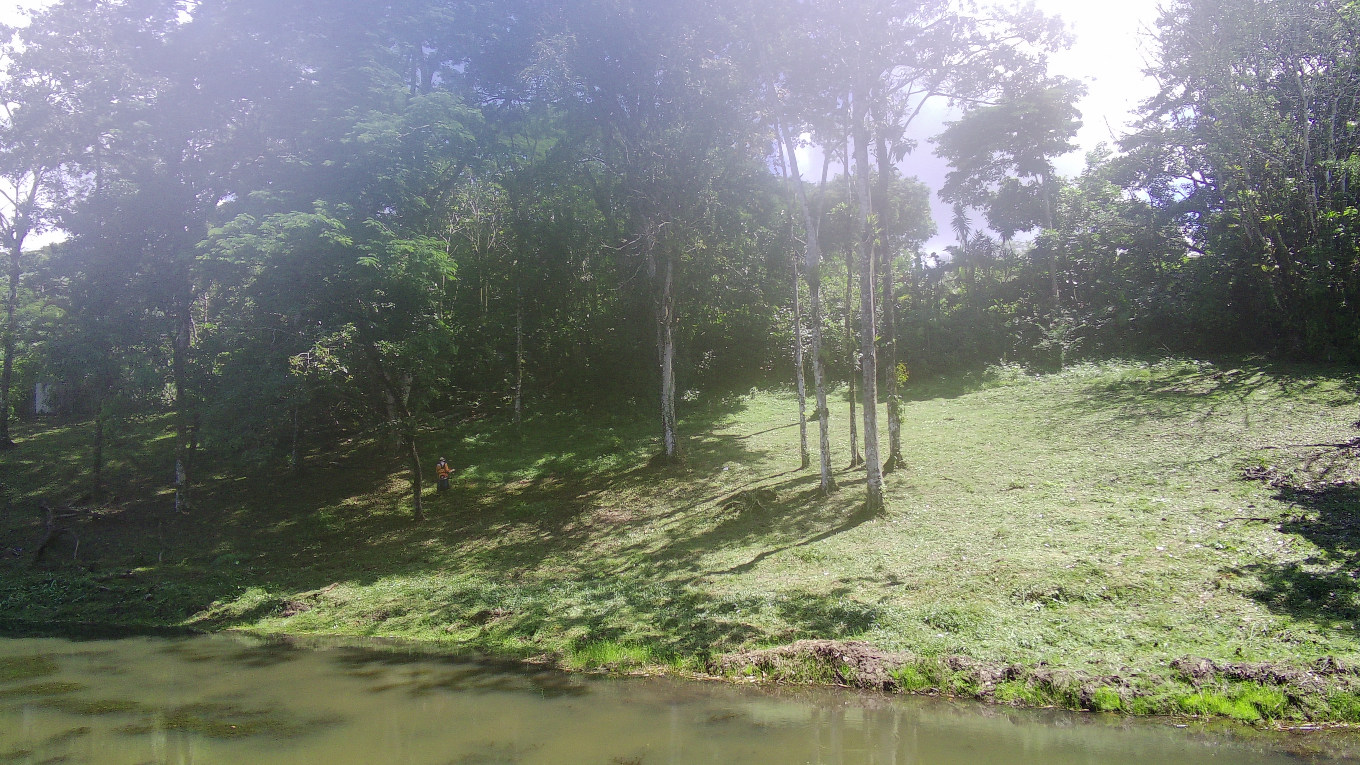 Beautiful Home 2BD 1BA in a 19424.9 m2 (4.8 Acre) Lot w/ Private Spring  photo 29