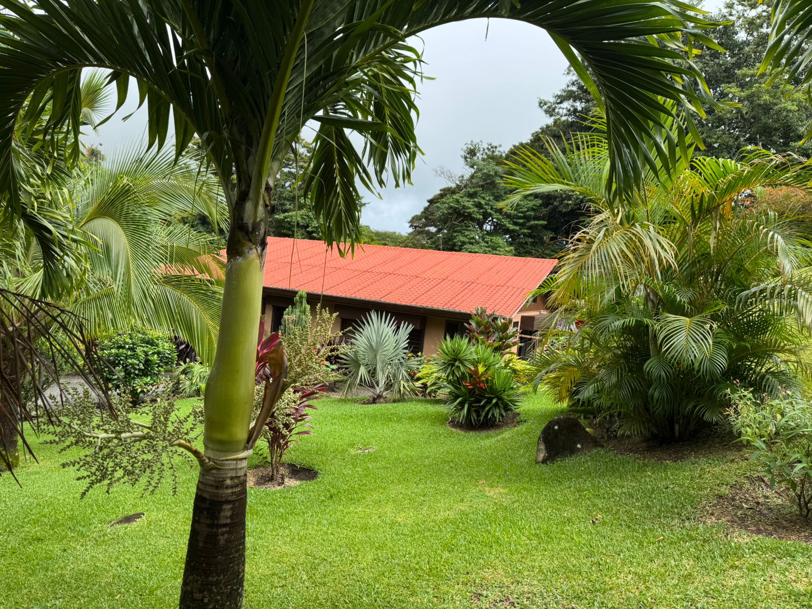 Mountain View Home 2 Bedrooms 2 Bathroom in Sabalito photo 22