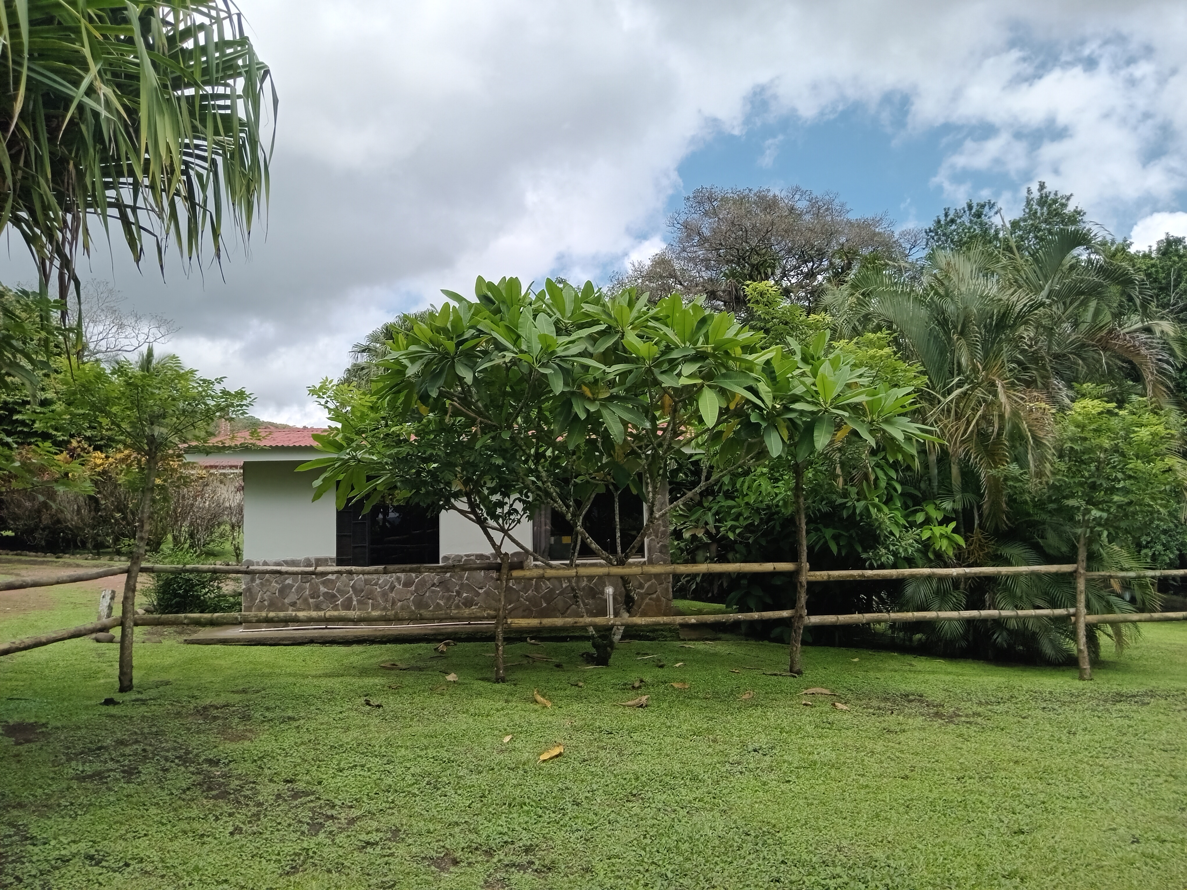 Commercial property: main house + 5 cabins + greenhouse + stable in Cinco Esquinas  photo 53