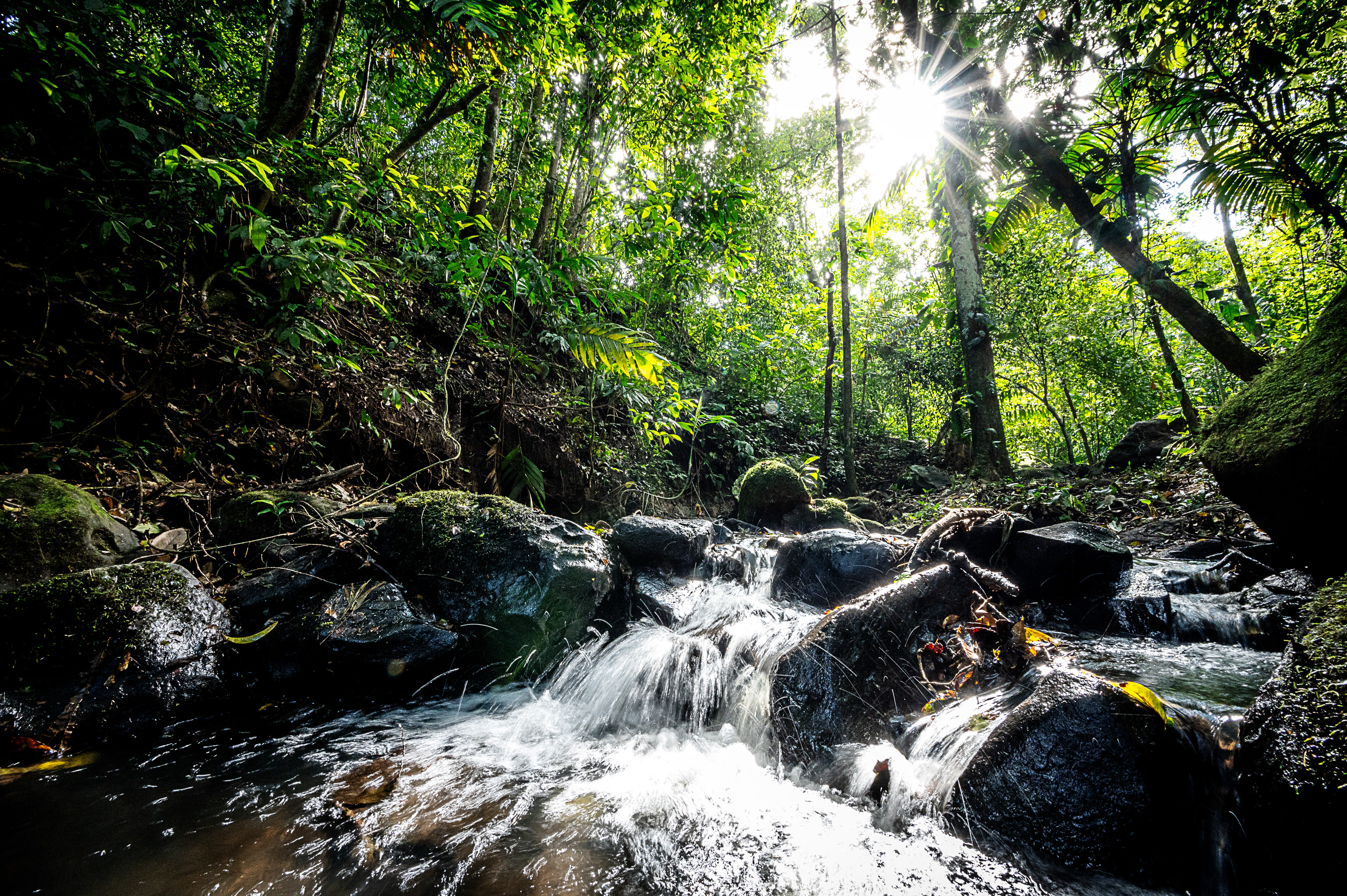 Spacious Arenal View Home with Cabins, Pavilion & Nature Trails  photo 58