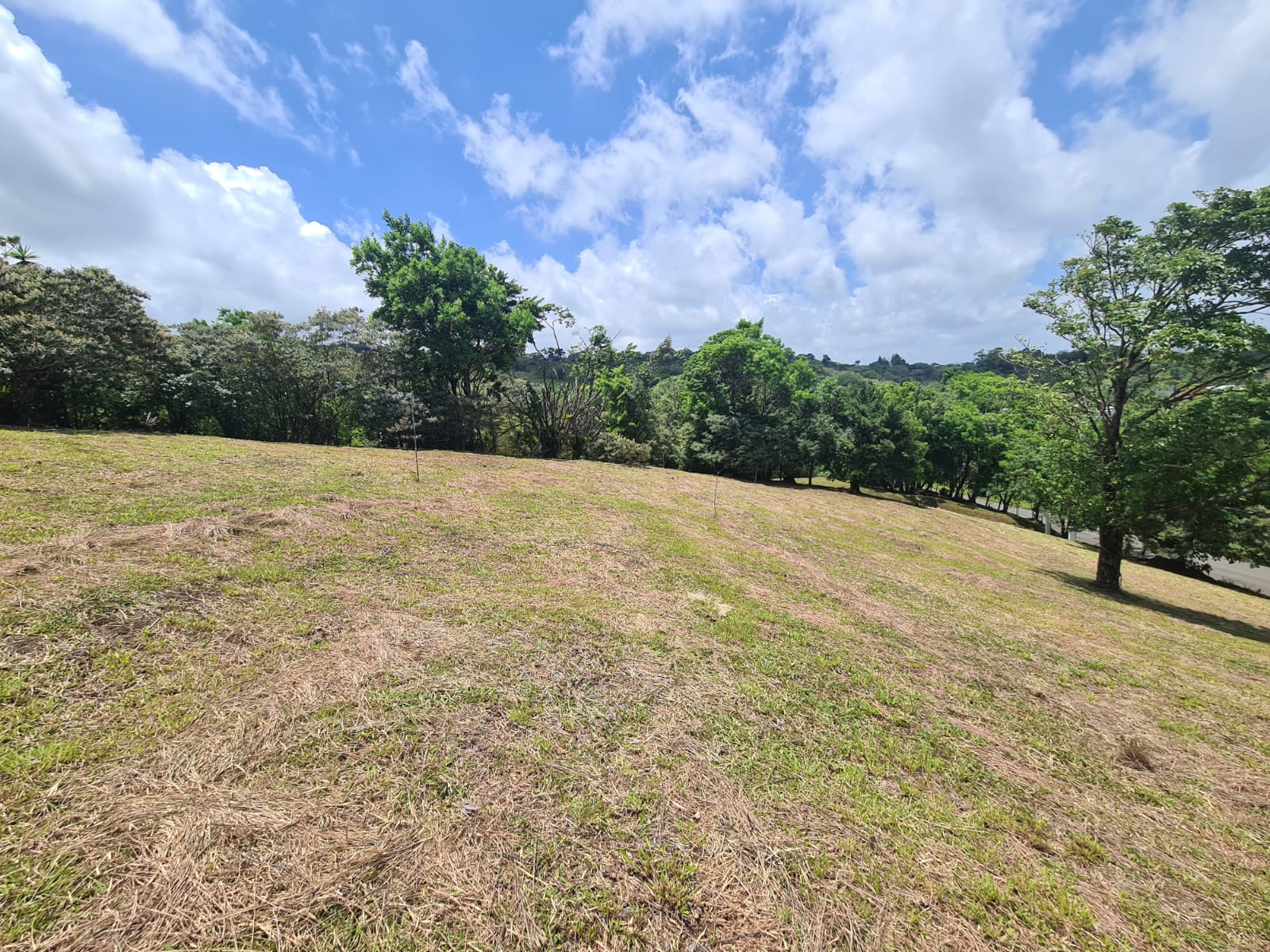 2236 M2 (0,55 acres) Lot with Huge Volcano Views in El Aguacate photo 7