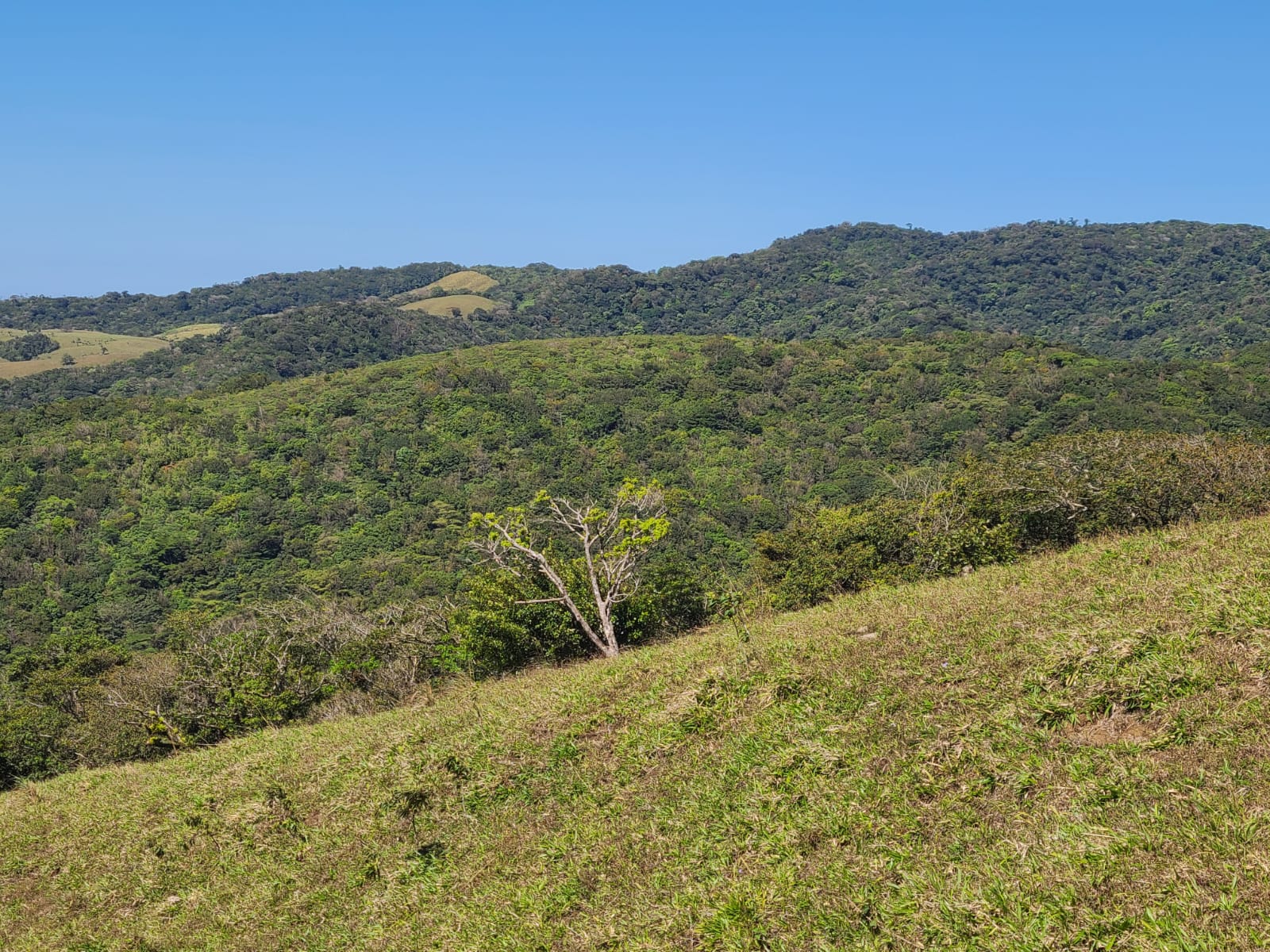 Spectacular 41,700 Sqm Property with Breathtaking Views in Río Piedras photo 8