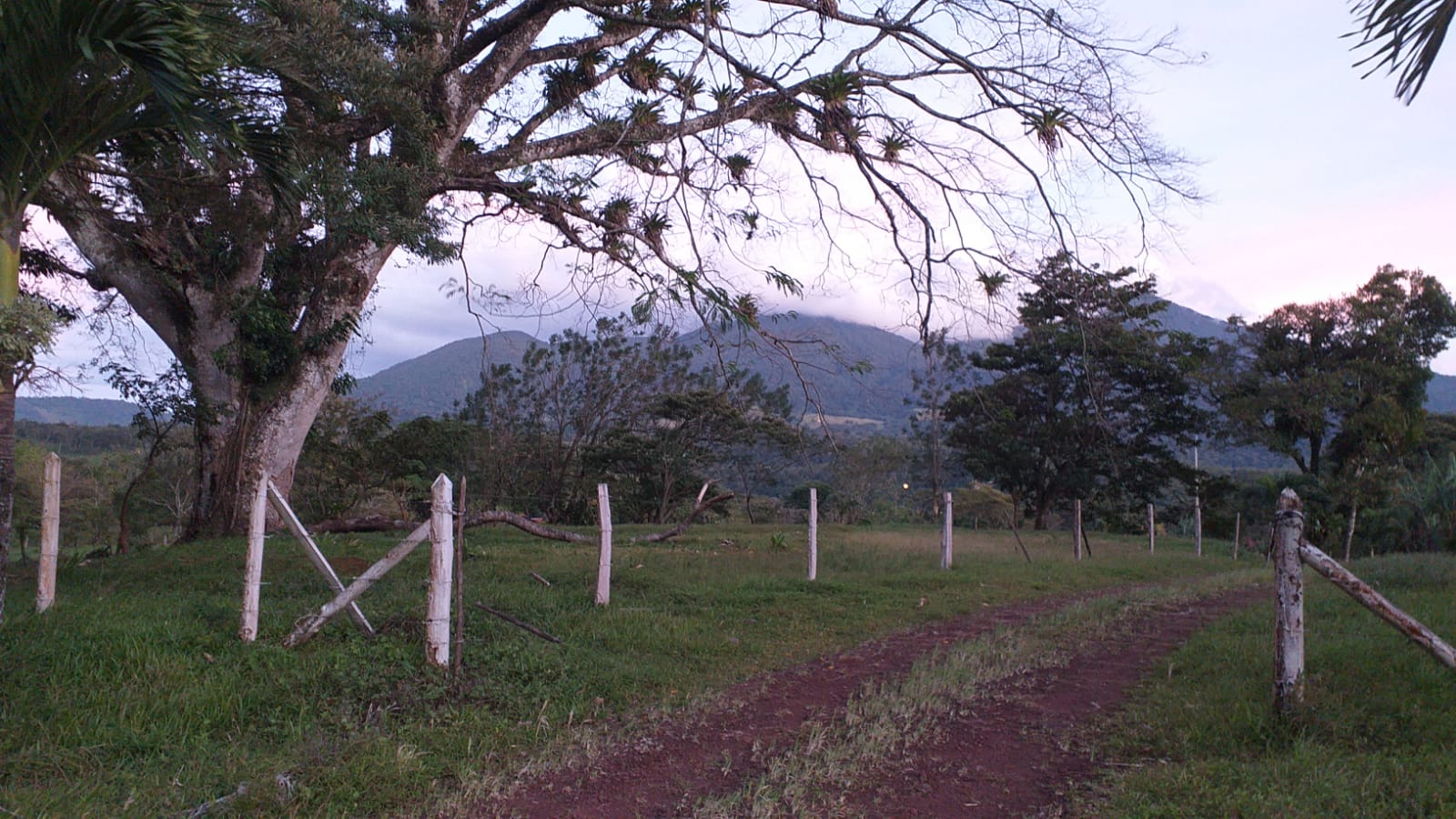 Lovely Studio Cabin on a 5,447 m2 Volcano View lot in Rio Naranjo photo 17