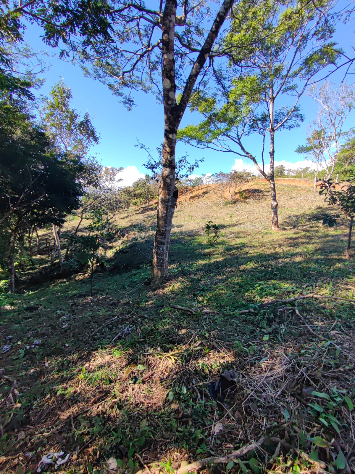 2500 m2 Ready to build / Beautiful Views & Commercial Potential-Nueva Guatemala photo 9