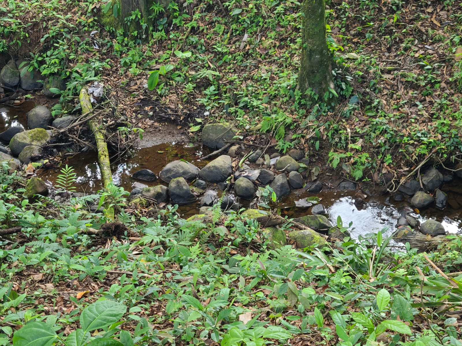 35,000 Sqm Property with Spectacular Lake Arenal View and Ravine photo 20