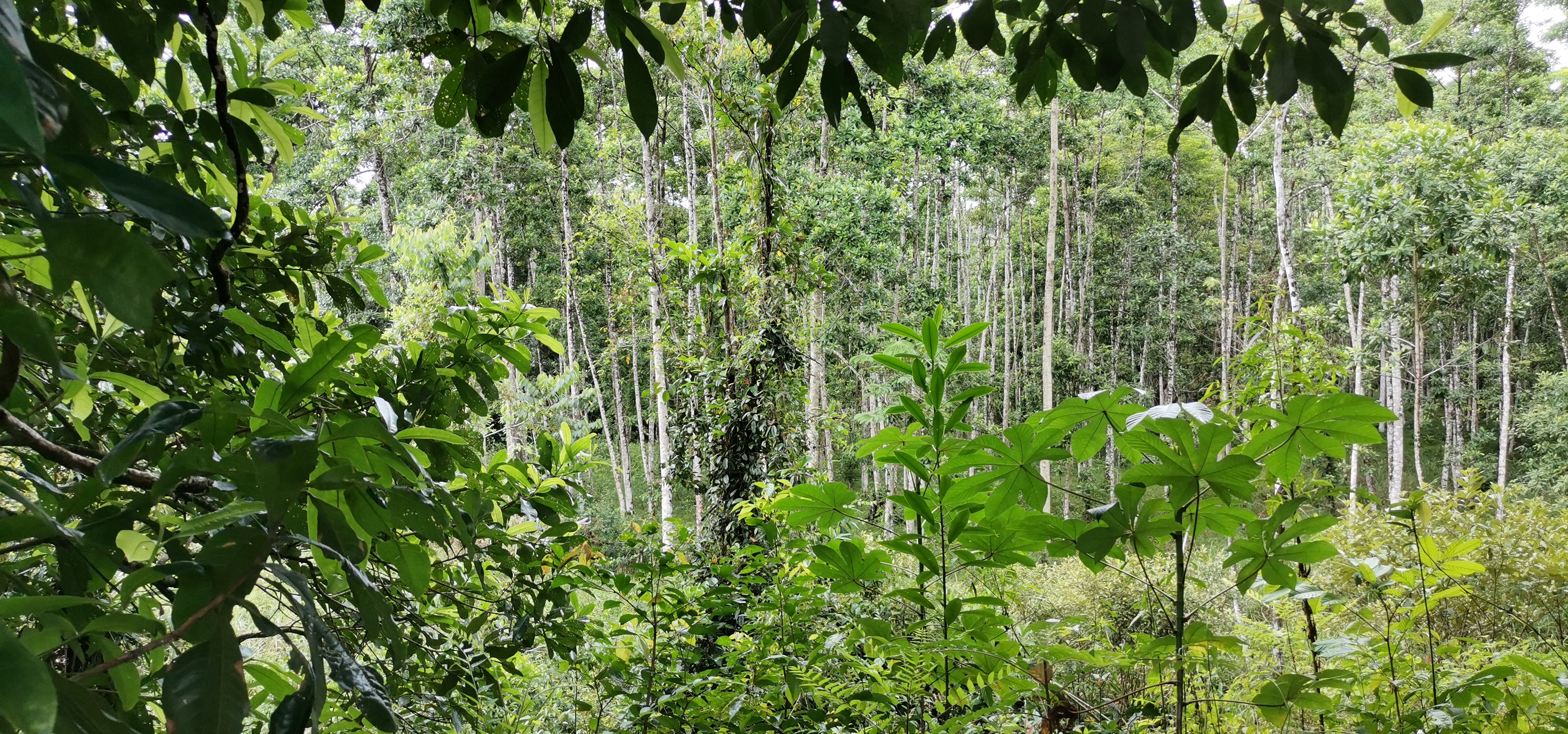 Fully Furnished 2 Bedroom 2 Bathroom Home On Cote River  photo 31