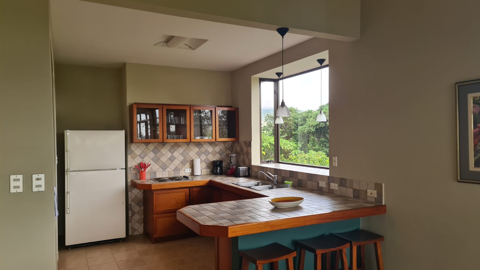 Beautiful 3 Bedroom, 2 Bathroom Furnished Home in El Aguacate photo 10