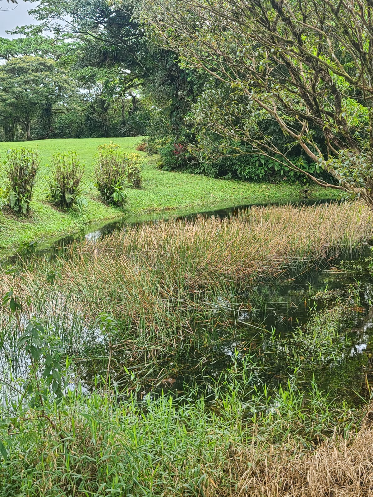 Charming Home 2Bedroom 2Bathroom in Bella Vista Gated Community photo 18