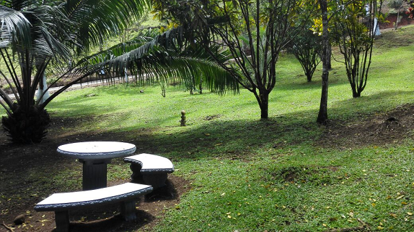 Beautiful 5 Bedroom 3 Bathroom Home Estate on 66 acres In Guatuso photo 20