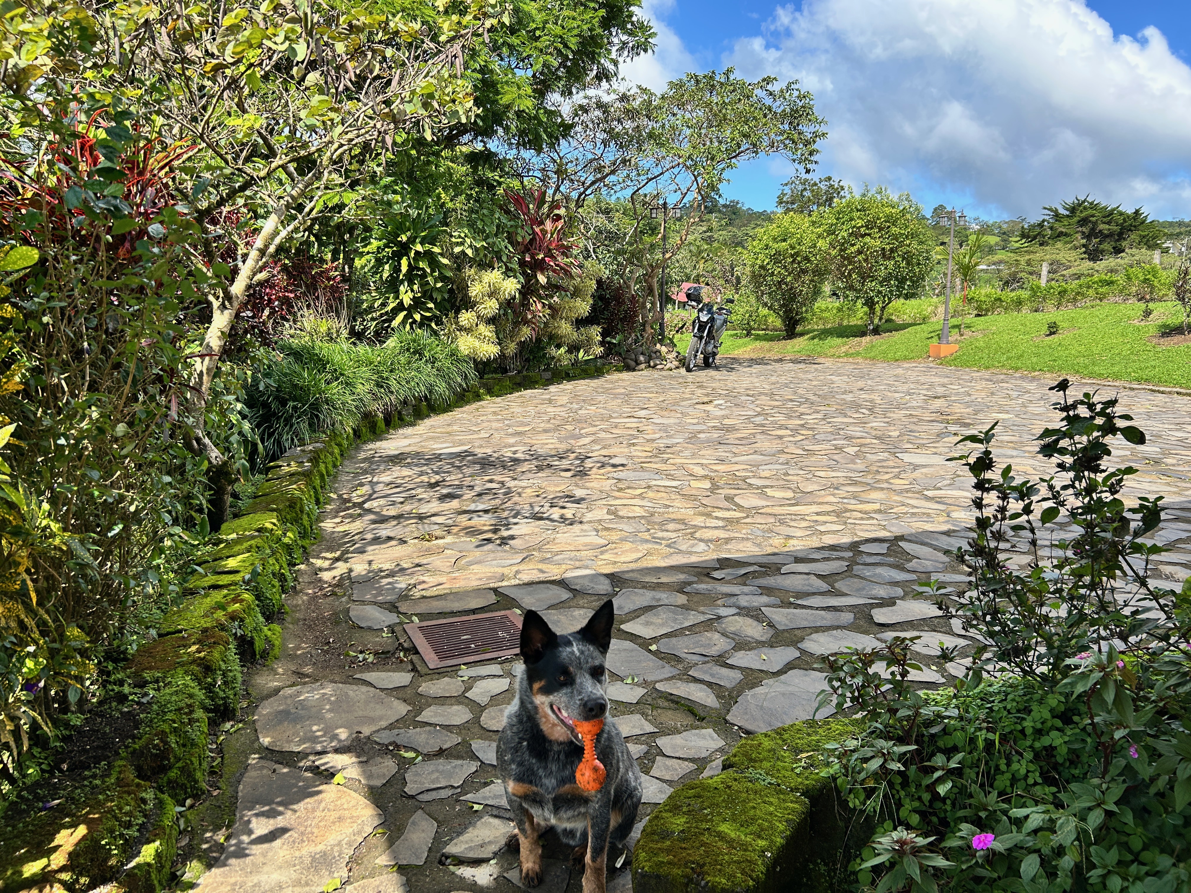 Charming 3-Bedroom Home with Guest House & Stunning Lake Arenal Views  photo 6