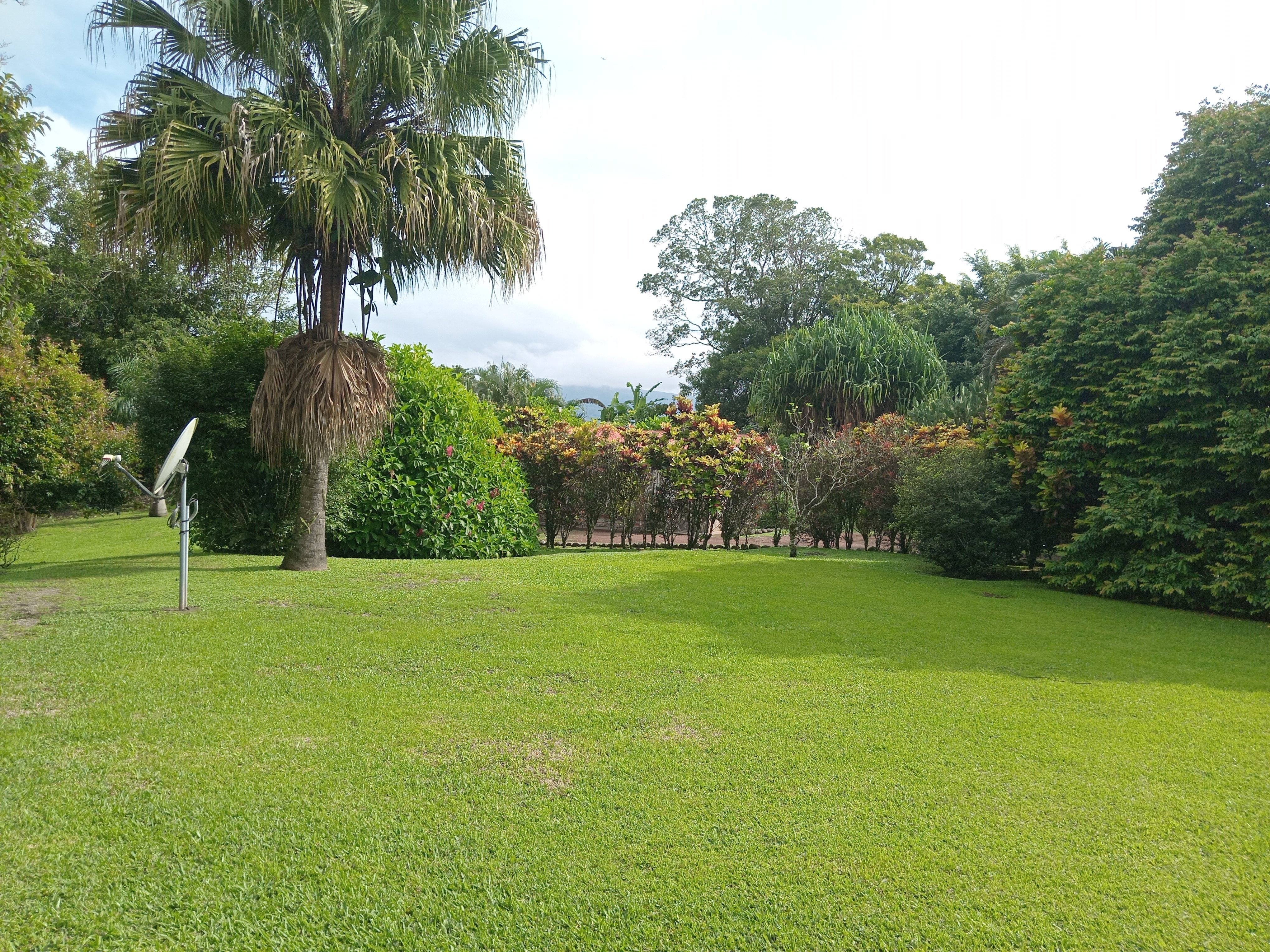 Commercial property: main house + 5 cabins + greenhouse + stable in Cinco Esquinas  photo 73