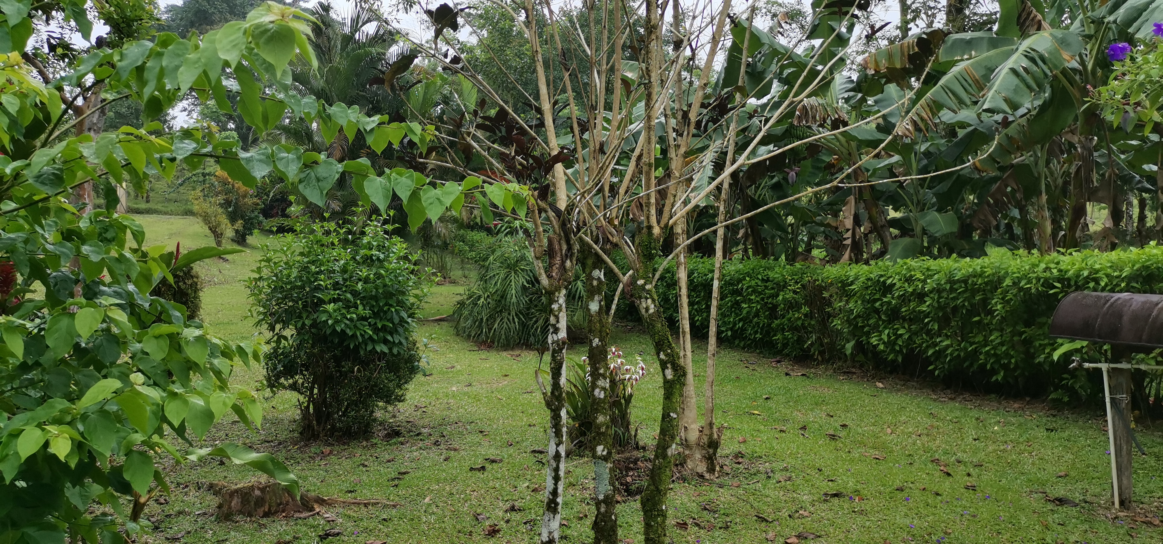 Fully Furnished 2 Bedroom 2 Bathroom Home On Cote River  photo 27