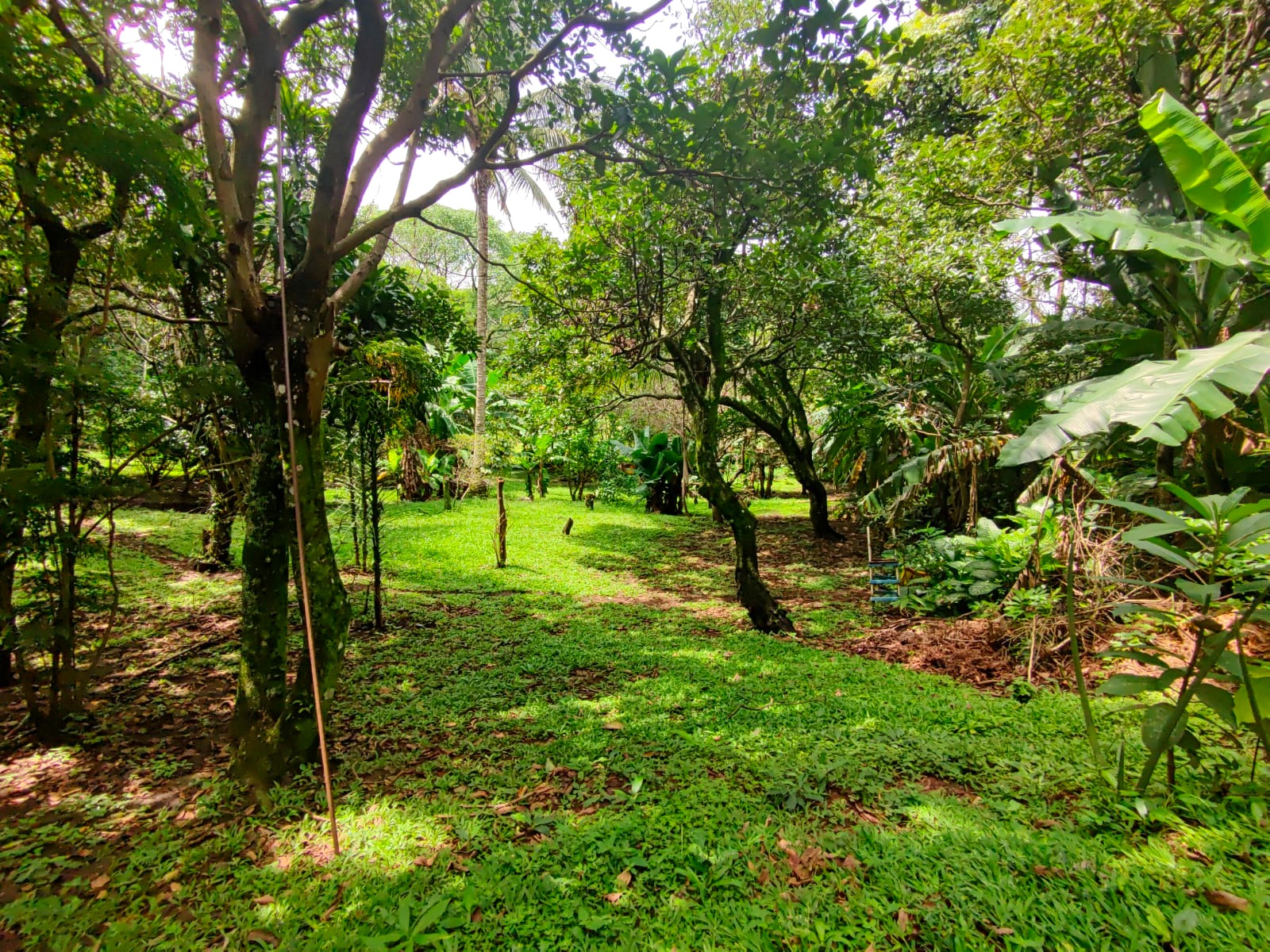 Touristic Complex w/Restaurant, Pools, Cabins, House and more!  photo 12