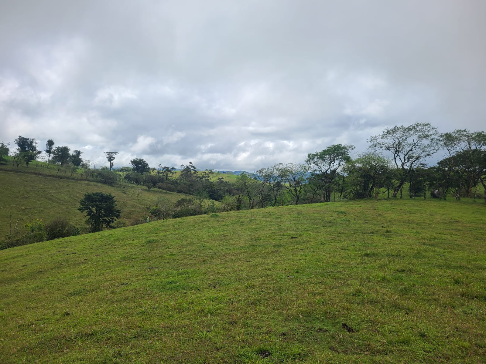 Spectacular 105-Hectare Lot with Lakes, Mountain Views, & Natural Resources  photo 10