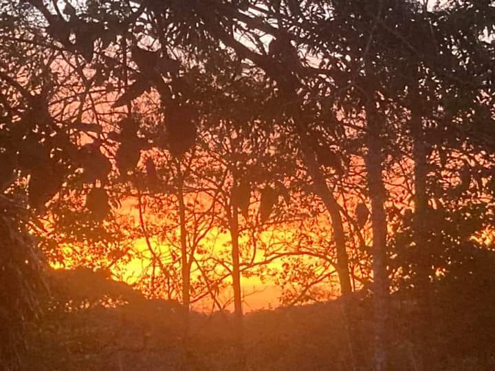 Commercial property: main house + 5 cabins + greenhouse + stable in Cinco Esquinas  photo 88