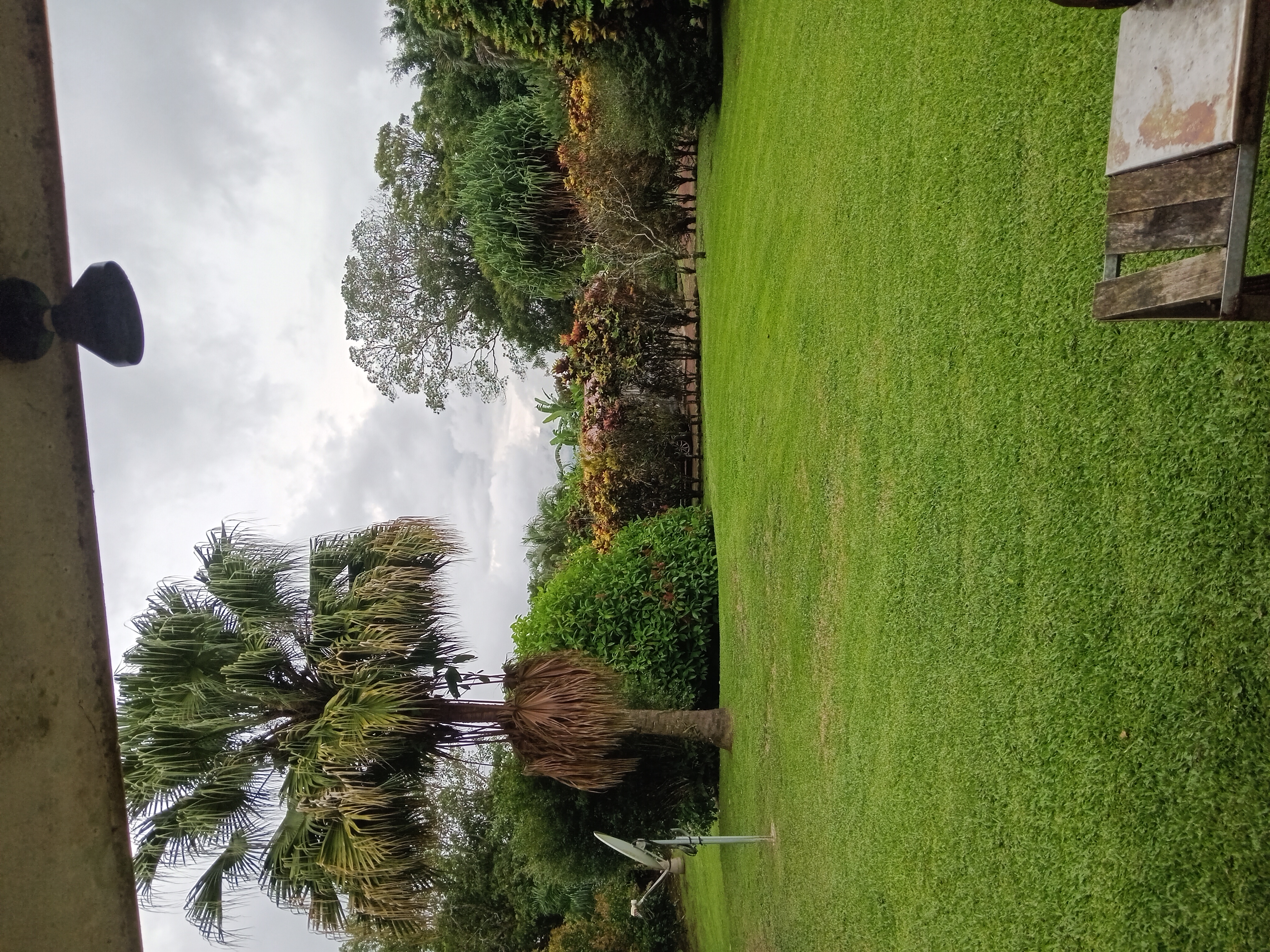 Commercial property: main house + 5 cabins + greenhouse + stable in Cinco Esquinas  photo 83