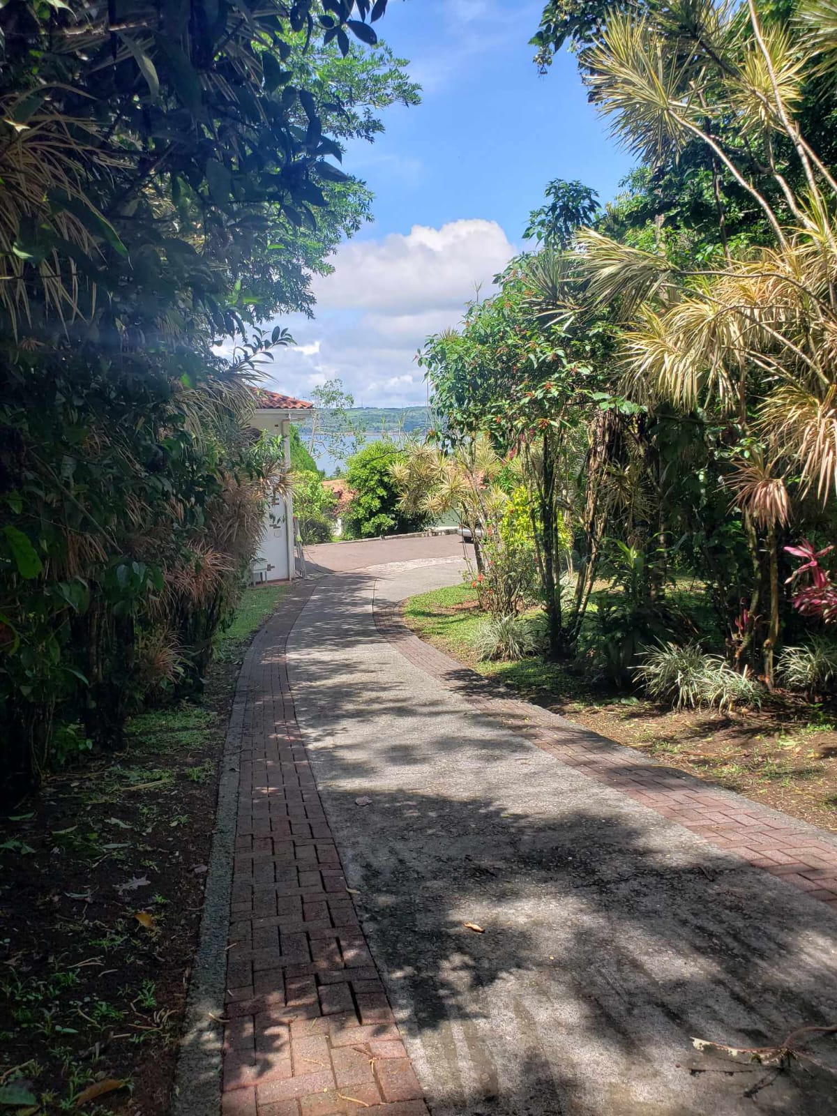 Beautiful 3 BD 2 BA Home in a 8 Acre Lot with Pool and Lake View photo 26