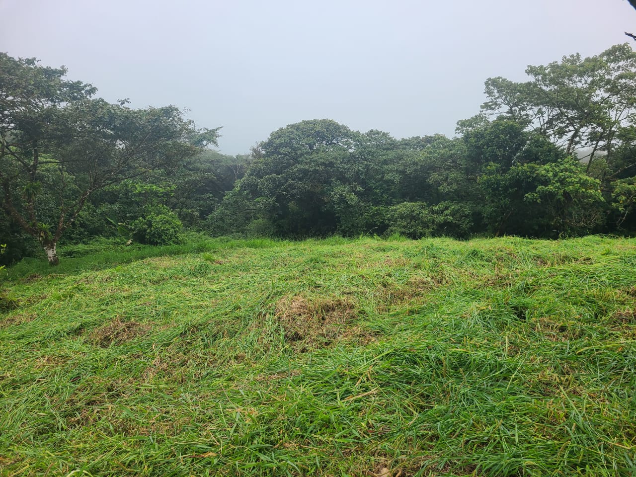 Stunning 12.59-Acre Lot with Volcano Views in Nuevo Arenal  photo 7