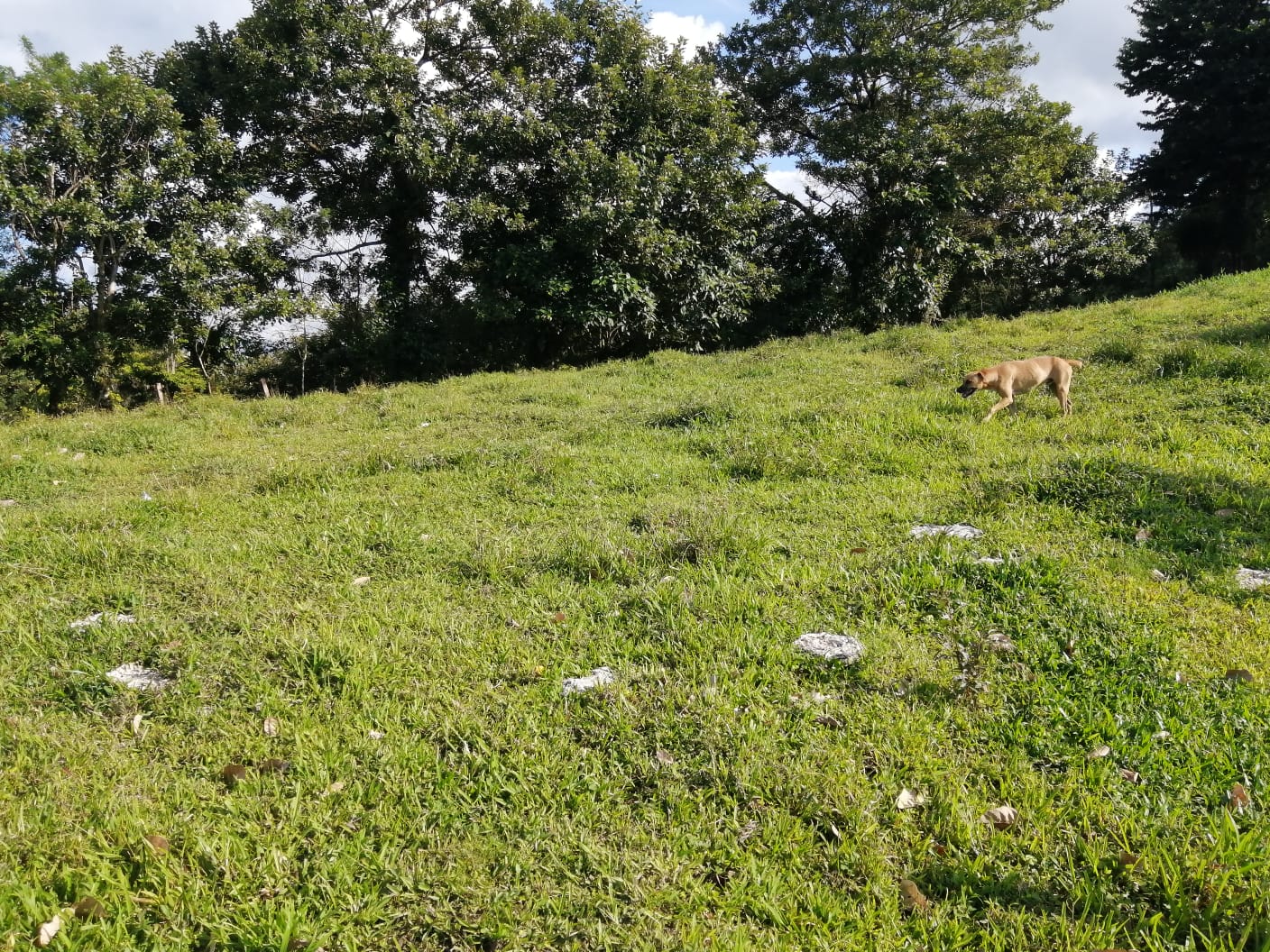 16-Hectare Farm with a Private Well and Views of Lake Arenal in Nuevo Arenal photo 43