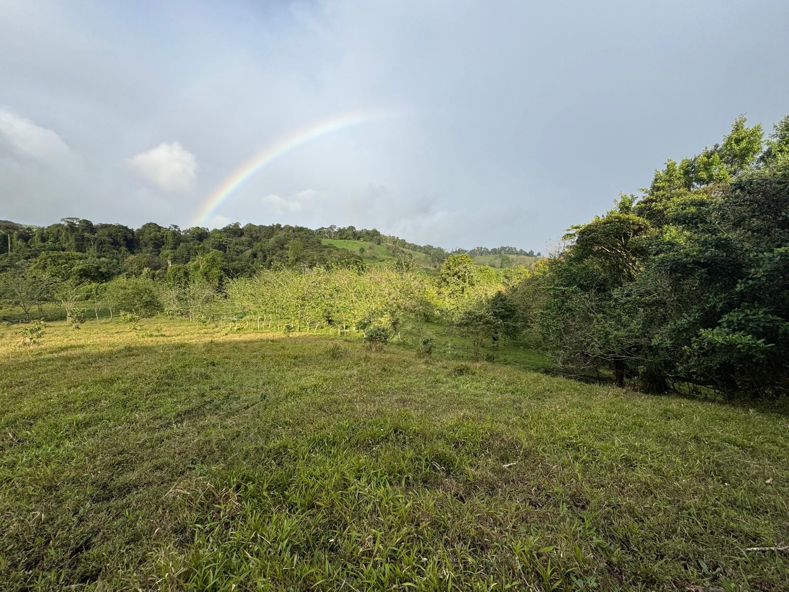 Expansive Self-Sufficient Farm Overlooking Lake Arenal in Nuevo Arenal photo 7