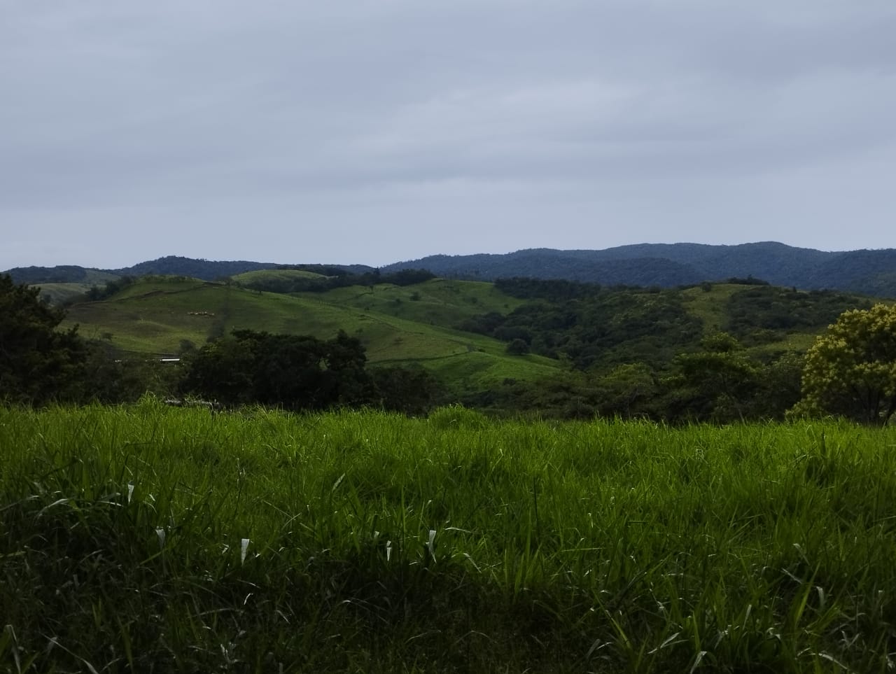 Expansive 30,229 m² (7.46 Acre) Lot w/ House & Scenic Views in Tierras Morenas photo 15