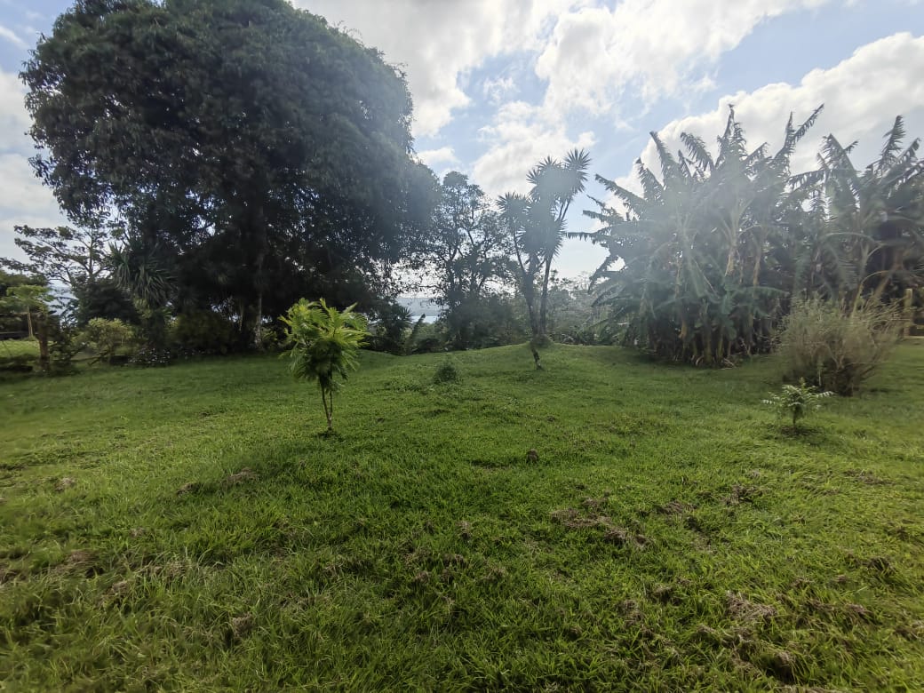 Lovely 3BD, 2BA Lake & Volcano View Home Walking Distance to Everything photo 18