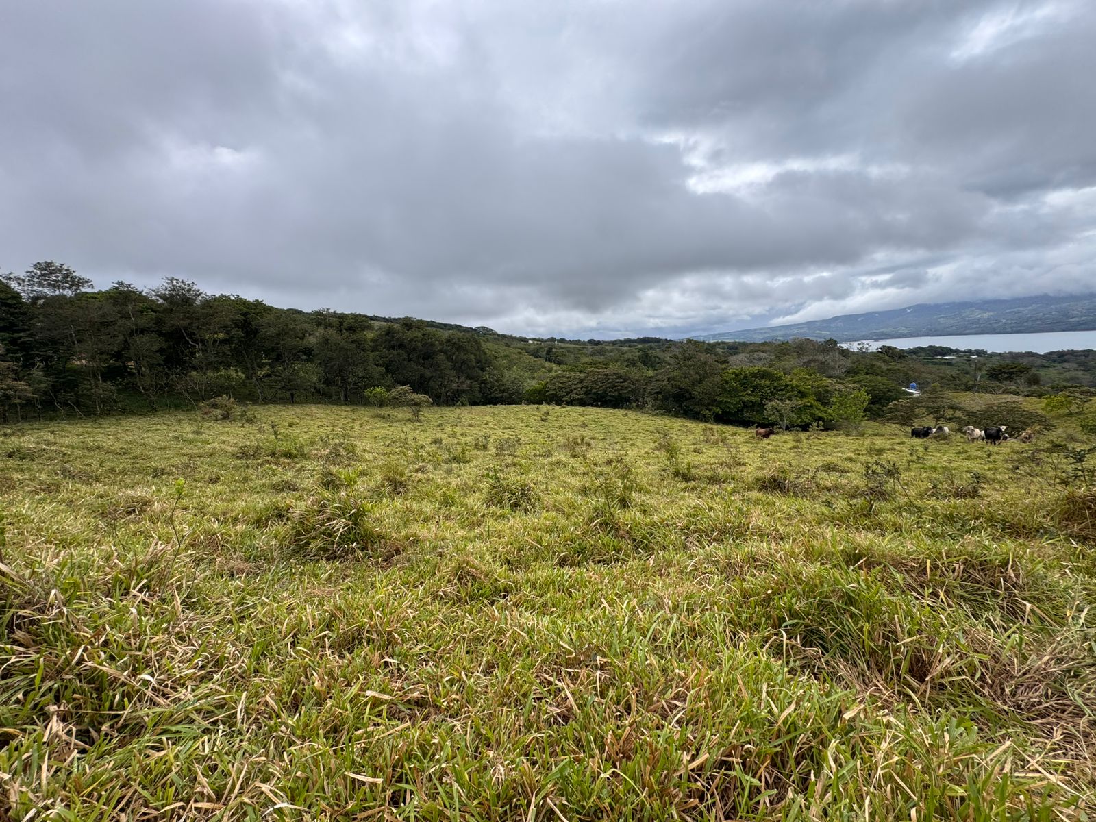 24,461 m² Lot with Lake Arenal Views in Cinco Esquinas, Tilarán photo 9