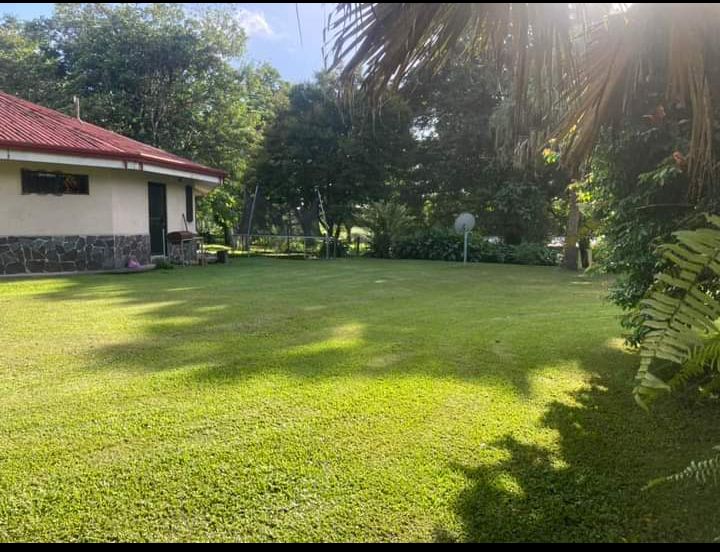 Commercial property: main house + 5 cabins + greenhouse + stable in Cinco Esquinas  photo 84